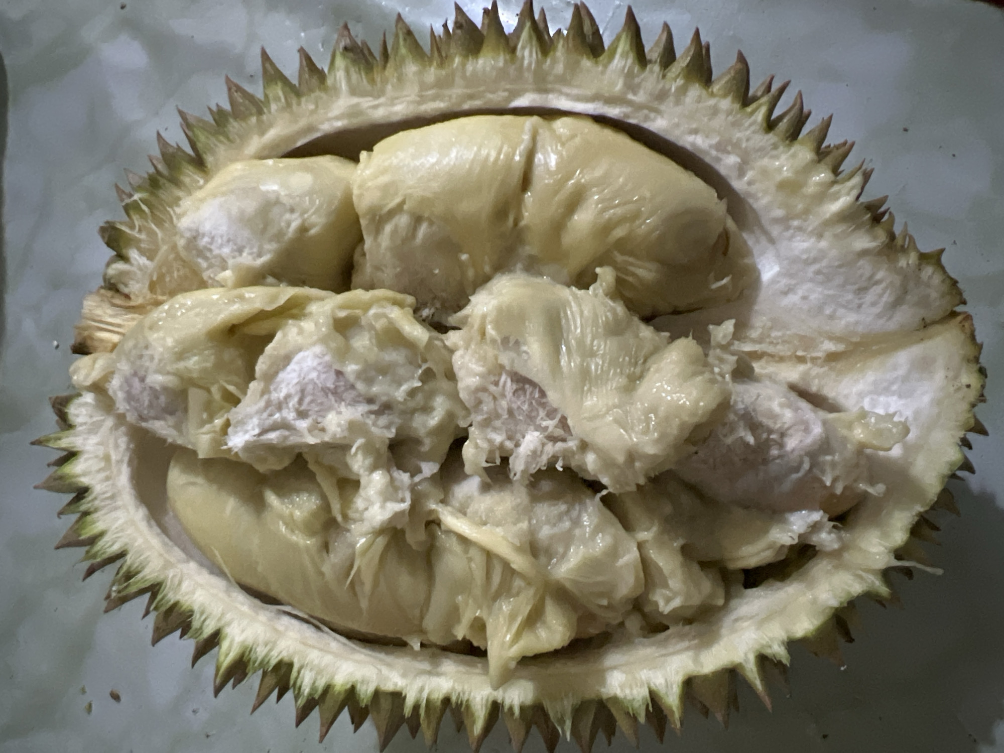 A close-up, overhead shot shows a halved durian fruit, its thorny rind forming a circular border. Inside, the creamy, pale yellow flesh is exposed, with several segments visible. The durian rests on a light-colored, textured surface that appears to be a countertop or table. There is no indication of the specific location within Lhokseumawe, Indonesia.