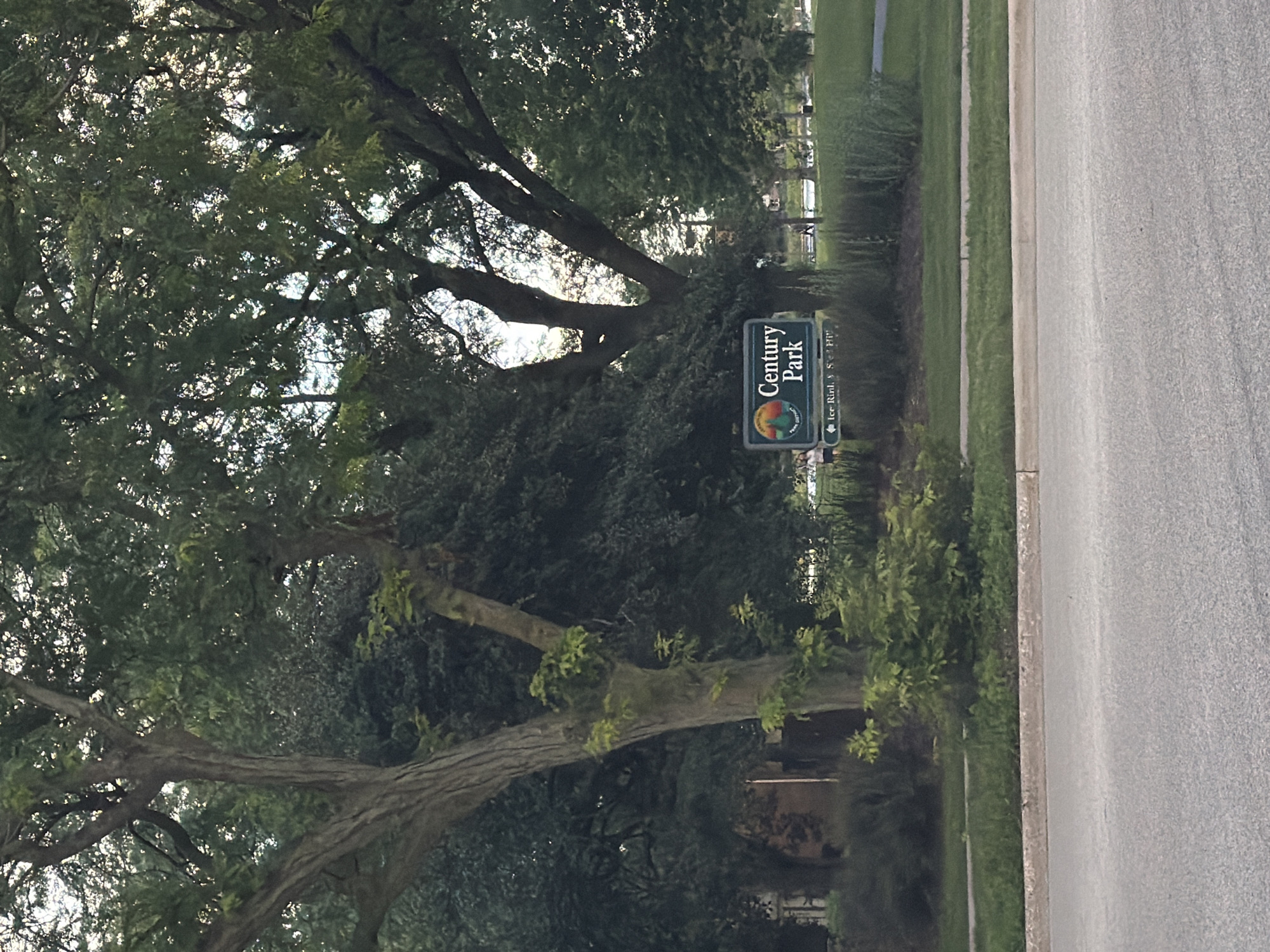 The image depicts a park entrance sign on a street in Vernon Hills, USA. The sign, oriented vertically, reads "Century Park" in large white letters against a dark green background. Below "Century Park," there's a circular logo with a sunrise or sunset motif, and further down, smaller text indicates "Ice Rink, S. Bike." The sign is set against a backdrop of lush green trees and foliage. To the right of the sign is a paved road and a sidewalk. The scene appears to be an exterior shot on a bright, possibly late afternoon or early morning, given the lighting and shadows. The overall impression is of a serene park entrance.