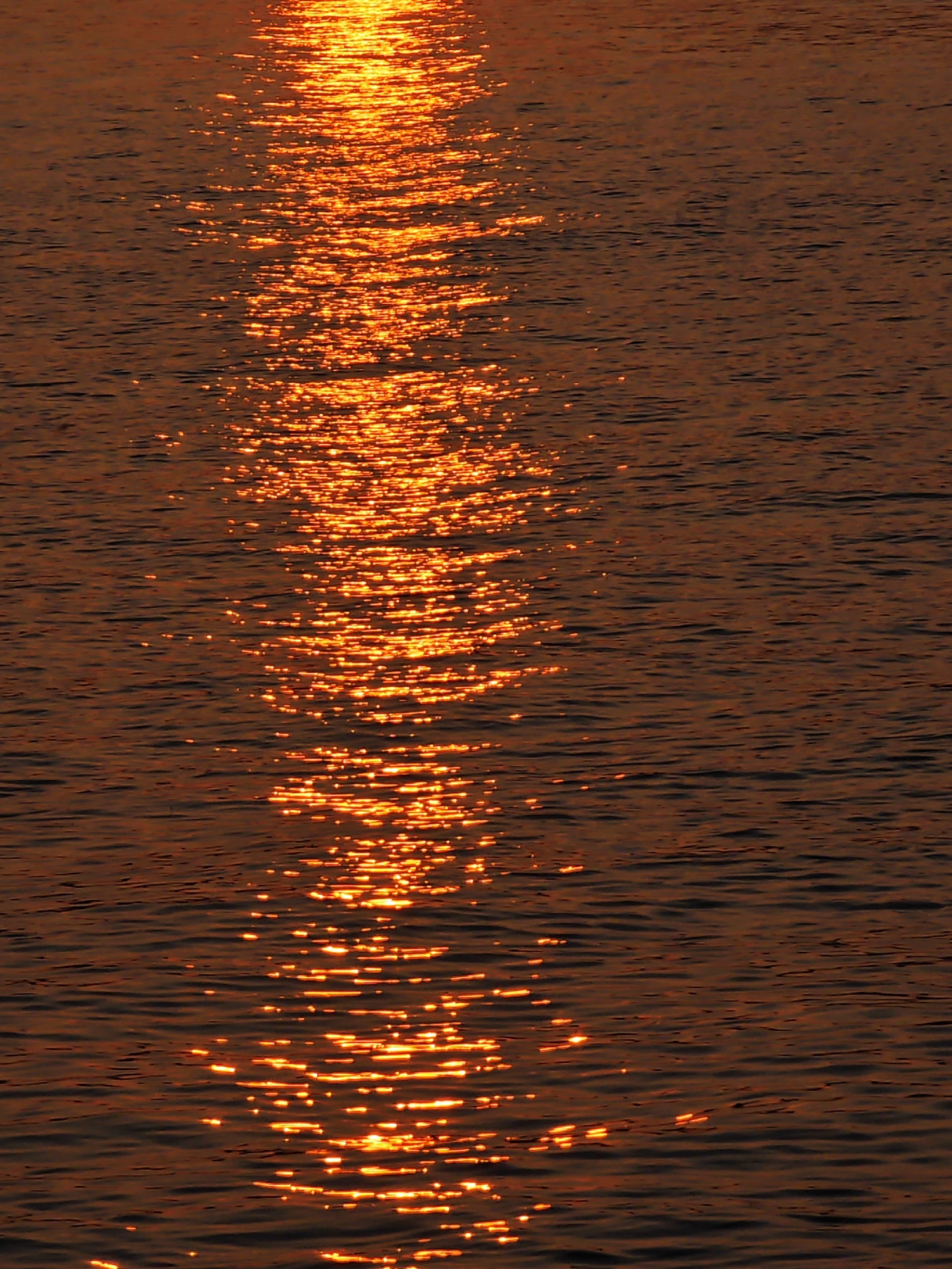 The image is a close-up, low-angle, eye-level shot of the surface of dark, choppy water reflecting the golden light of the sun, likely at sunset or sunrise. The water is a deep, rich brown with visible ripples and waves. The sunlight creates a shimmering, broken path of bright orange and yellow streaks across the surface, extending from the top of the frame towards the bottom. There are no people, animals, or man-made objects visible in the frame. The scene is purely a naturalistic depiction of light interacting with water. The location is not specified in the image itself; therefore, it cannot be definitively linked to Потапово, Russia.