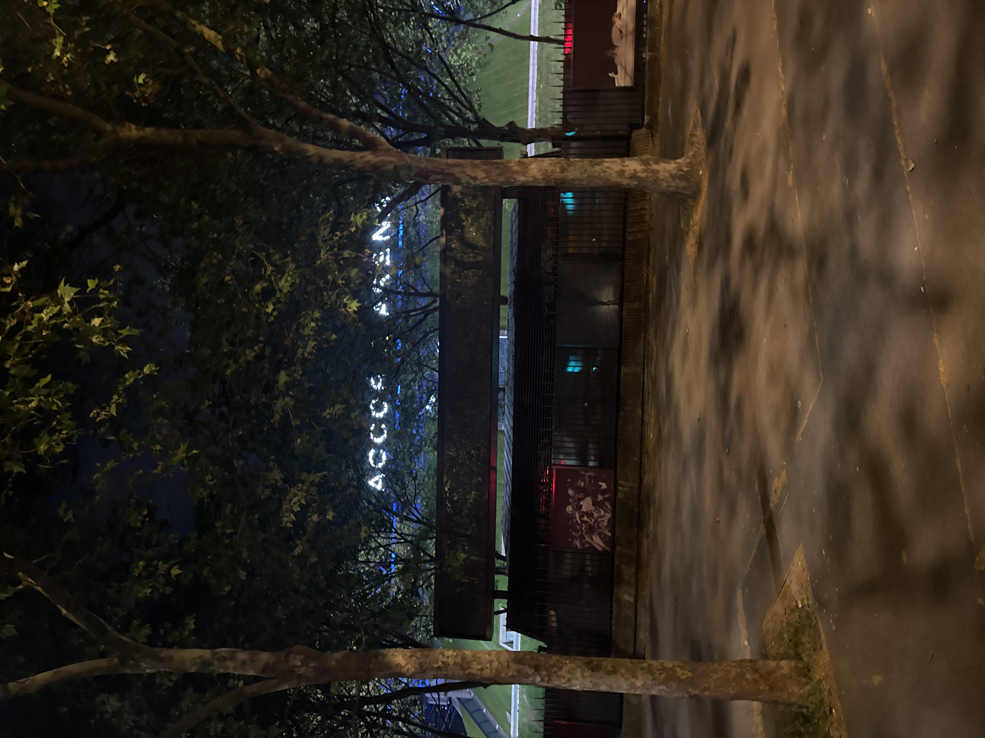 An outdoor nighttime scene in Paris, illuminated by artificial lights, features two prominent tree trunks with leafy branches reaching into the dark sky. The image is taken from a low angle, looking towards a dark, fence-like structure or building.
In the mid-ground, partially obscured by tree foliage, a bright, illuminated sign is visible. The word "ACCÈS" (French for "Access") is clearly legible in white capital letters. Following this, another word, likely "AVENUE" or "AVÈNEMENT", is much fainter and harder to decipher due to distance and obstruction. Various artificial lights, including some red and green hues, are scattered around the structure and in the background, suggesting signals or additional signage. Behind the fence, a lighter, possibly grassy, area is visible, hinting at a park or sports ground.
The foreground consists of a concrete or paved ground surface, marked with faint lines and dappled with shadows from the surrounding trees, cast by unseen light sources. The overall impression is one of an urban area at night, possibly near an entrance to a public facility or street. No people or specific events are visible, giving the scene a quiet, still atmosphere.