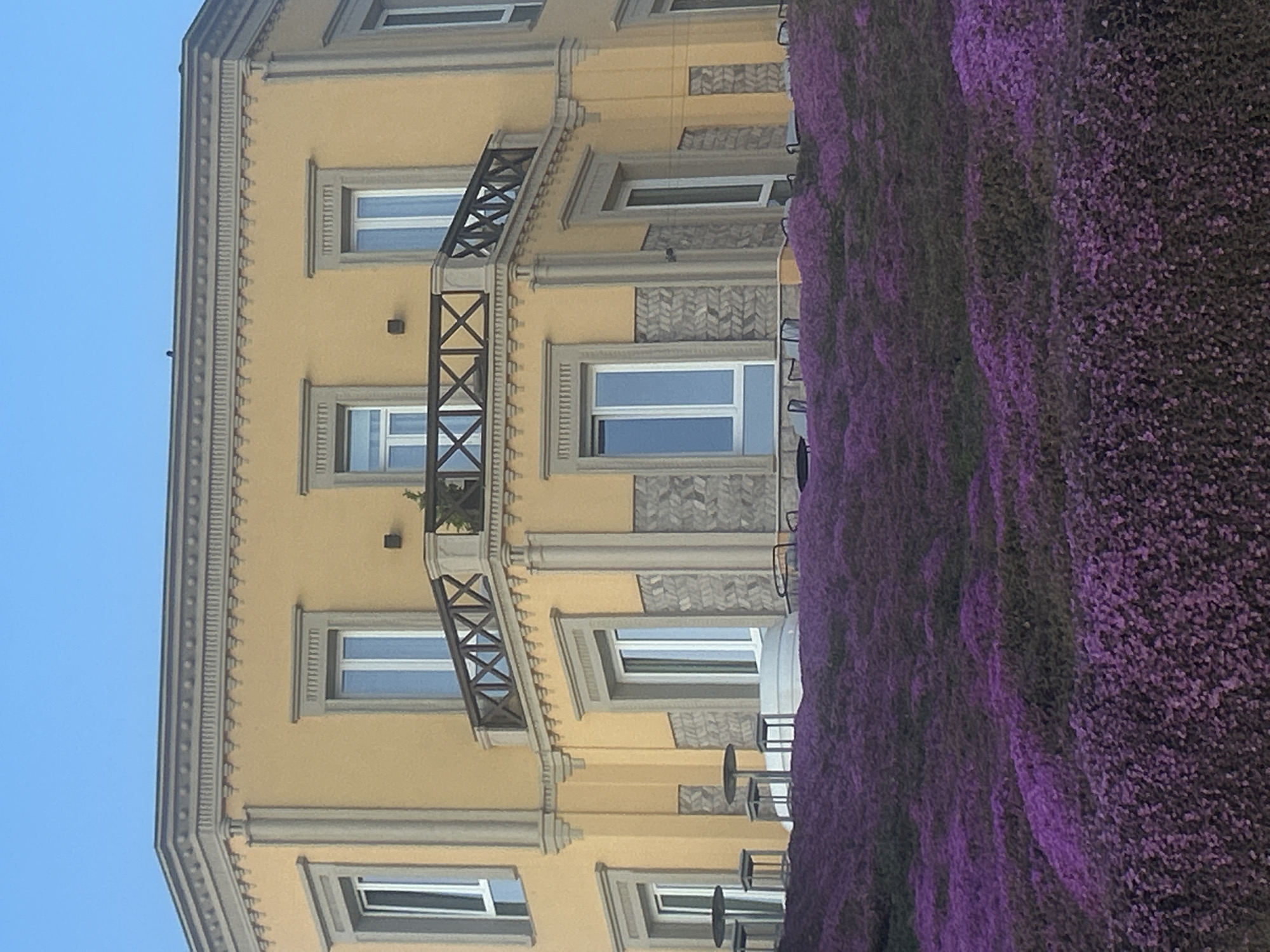 A vibrant outdoor scene captures a multi-story building adorned with elaborate architectural details, set against a backdrop of a clear blue sky and abundant purple flowering foliage. The building, located in Alghero, Italy, features a light yellow or ochre facade with grey or beige decorative elements, including ornate cornices and pilasters. Sections of the building's walls between windows are embellished with a repeating chevron or herringbone pattern.
Numerous windows with light-colored frames are visible across the building's stories. Several windows have small balconies, each fitted with decorative black iron railings that incorporate an 'X' pattern. One upper-floor balcony shows a hint of green vegetation, possibly a potted plant.
To the right of the building, a dense, rich mass of purple flowers or flowering vines creates a striking visual element. This thick foliage appears to cover an adjacent structure or wall, creating a beautiful contrast with the building's warm yellow tones. Glimpses of dark outdoor tables and chairs are visible through the foliage on the far right, suggesting an al fresco dining or seating area. The bright, clear blue sky on the left indicates a sunny day. No people or discernible text are present in the image.