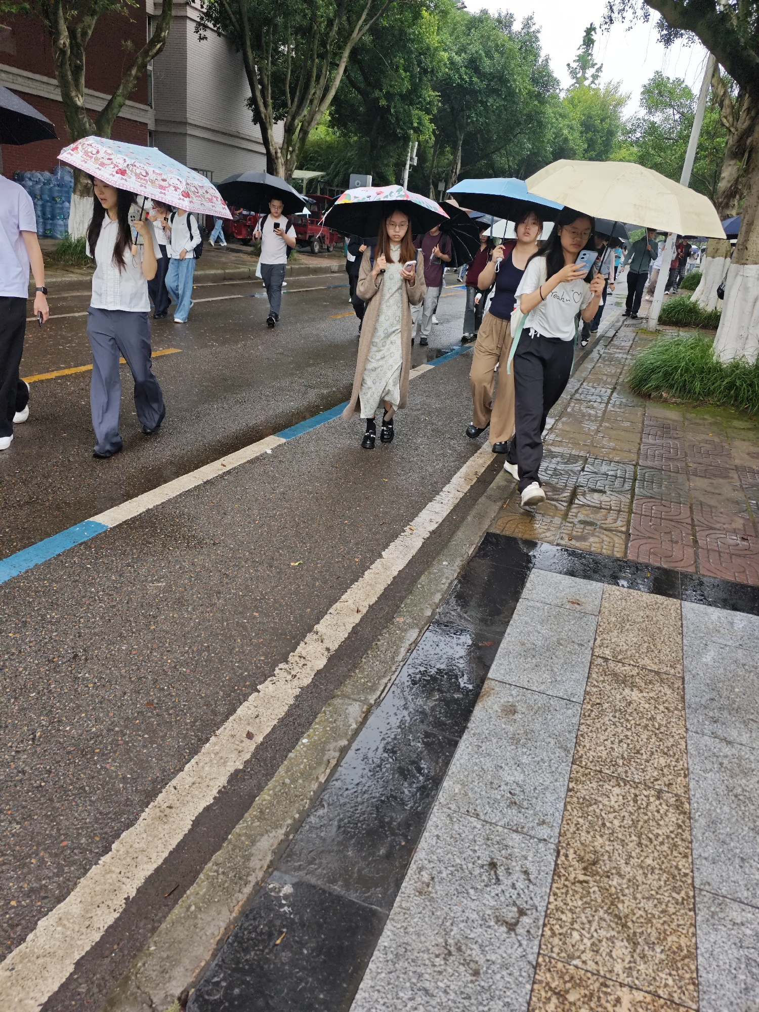 A group of pedestrians walks on a wet asphalt road and adjacent tiled sidewalk, holding umbrellas. The scene is set on a rainy day, as indicated by the wet surfaces and umbrellas. A young woman in the foreground, holding a pink umbrella with cartoon characters, is looking down at her phone. Another woman beside her is holding a light blue umbrella and also looking at her phone. Further down the path, other individuals are visible with umbrellas, some are walking and some are standing. A white van is parked in the background. The environment appears to be an urban or campus setting, with buildings and trees visible. The location is specified as Chongqing High-tech Zone, China.