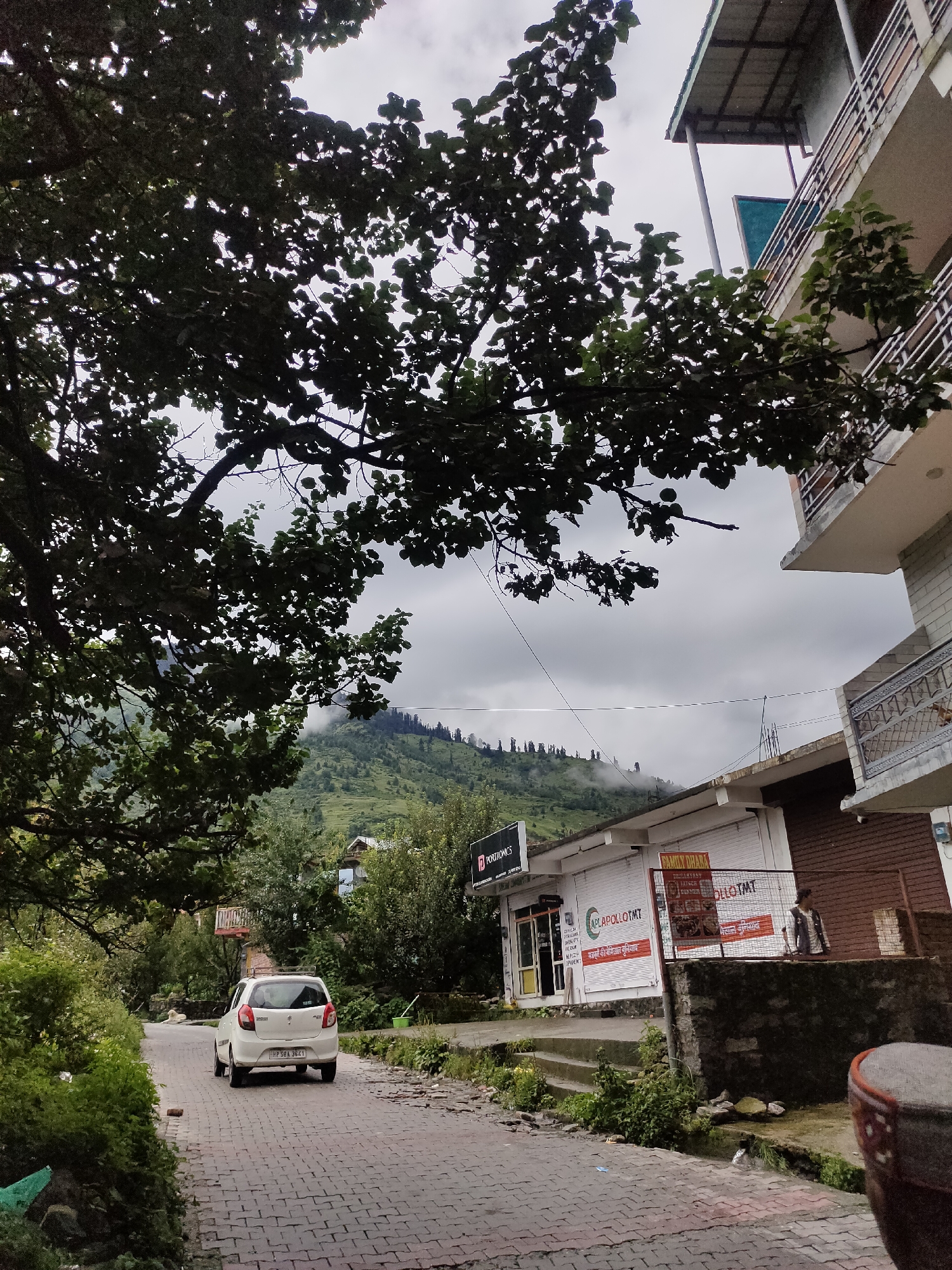 The image captures a scene on a paved road in Burwa, India, with a white car driving away from the camera. The road is made of red brick pavers and curves to the left. Lush green trees and foliage line the sides of the road, with a prominent tree branch in the foreground obscuring part of the sky.
On the right side of the road, there is a multi-story building with balconies. The lower level of the building appears to be a row of shops, one of which has signs for "POLOHTMT" and "APLA POLLO TMT". A "FAMILY DHABA" sign is also visible. A person, appearing to be a woman wearing a vest over a shirt and pants, stands on a ledge in front of the shops.
In the background, a verdant, tree-covered mountain slopes upwards. The sky is overcast with clouds, and some mist or fog is present around the mountain peaks. Power lines are visible stretched across the sky.