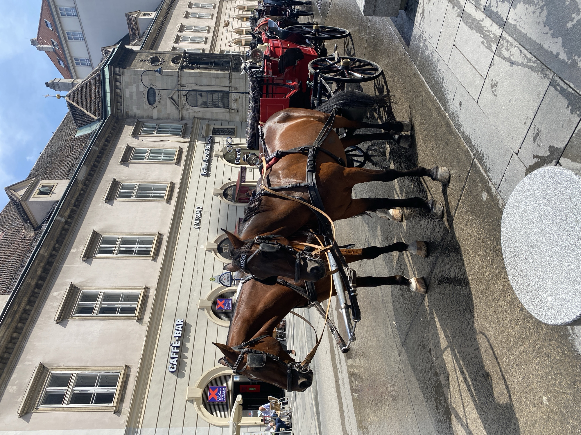 This image depicts a street scene in Vienna, Austria, featuring a horse-drawn carriage. Two brown horses are harnessed to a red carriage, which is positioned on a wet street. In the background, a multi-story building with arched entrances and signage for businesses like "CAFFÈ-BAR" and "MISSIMI" is visible. A few people are seated at tables outside a cafe. The sky is partly cloudy. The overall impression is of a historic European city with a traditional tourist attraction.