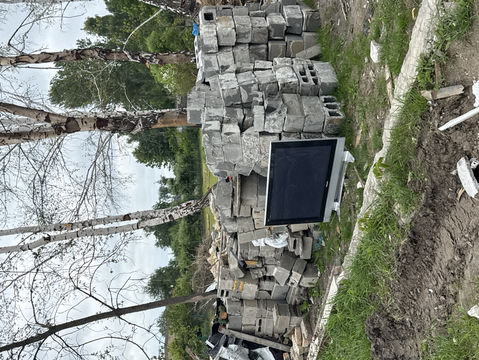 An old-fashioned, silver-trimmed television leans against a haphazard pile of grey, rectangular blocks. These blocks are stacked unevenly, reaching a height just above the TV. A birch tree with peeling white bark stands adjacent to the blocks. Grass and debris frame the composition. The background includes more trees, suggesting a wooded outdoor location.