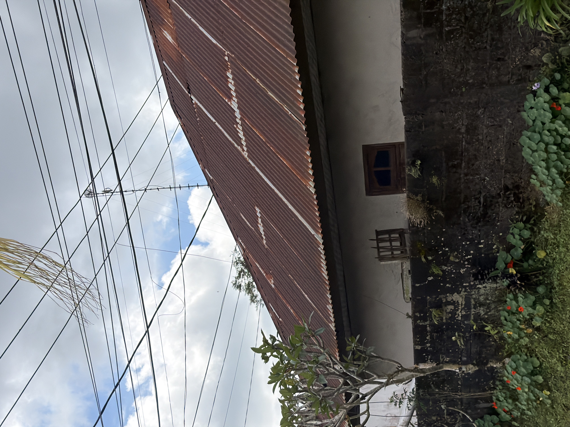 This is a medium-shot, eye-level, vertical, outdoor photograph taken in Kintamani, Indonesia. The scene features a weathered, rusty, corrugated metal roof of a building dominating the upper right of the frame. A cluster of black electrical wires crisscrosses the sky above the roof. In the upper left quadrant, a strand of dried, yellow palm fronds, possibly part of a kite or decoration, dangles precariously amongst the wires. A small, leafless tree with thin branches stands to the left of the image, in front of a white-walled building. Below the building and in the foreground, a dark, rough-textured stone wall runs horizontally across the frame. Lush green foliage and small red and orange flowers grow along the base of the wall and in front of it, suggesting a garden or natural growth. Two small windows are visible on the white wall above the stone structure. The sky is partly cloudy with patches of blue visible.