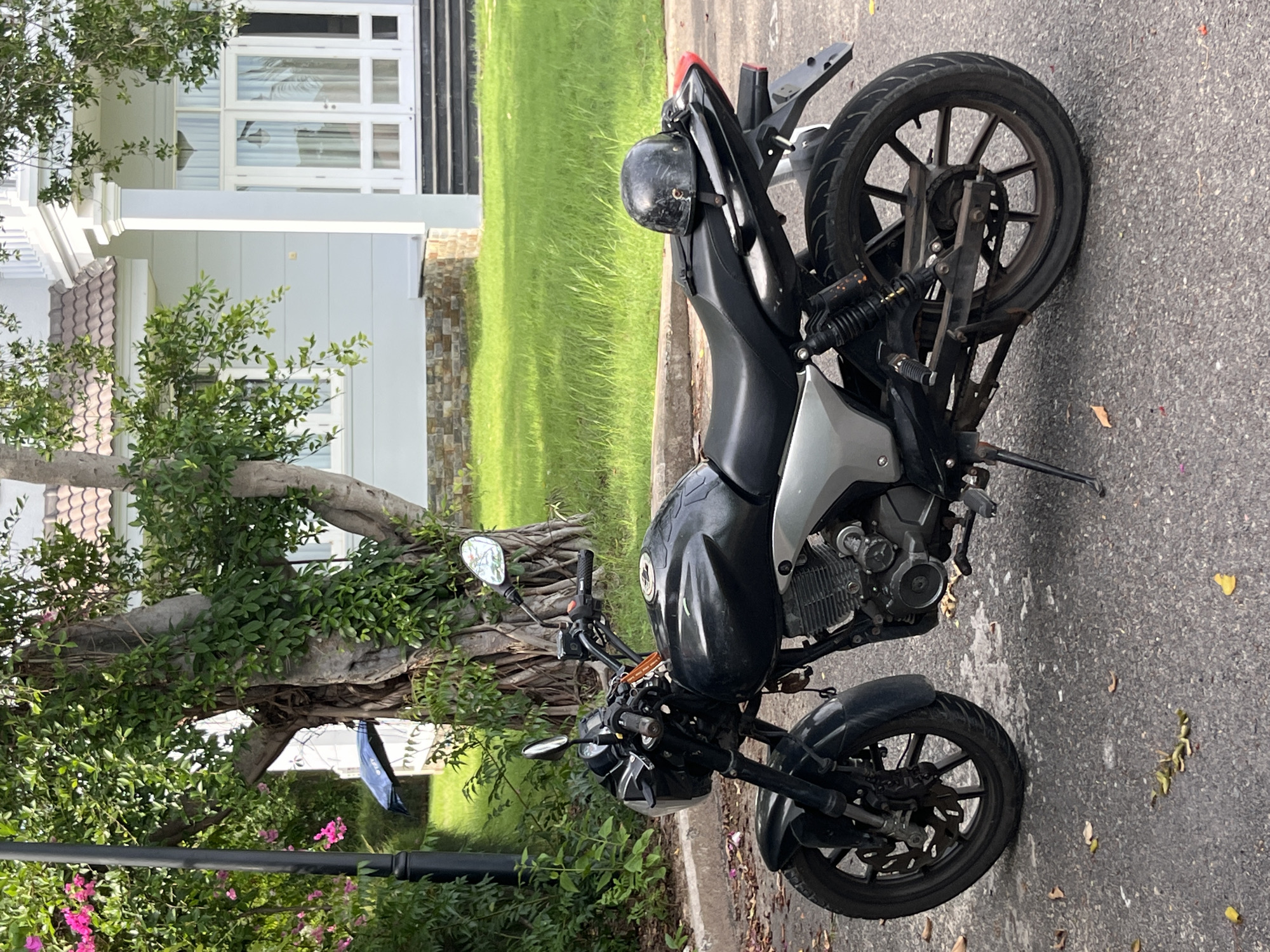 A black motorcycle is parked on an asphalt road in front of a modern white house with a tiled roof and large glass doors. A black helmet rests on the rear seat of the motorcycle. The motorcycle is positioned slightly off-center to the left of the frame. Behind the motorcycle, a large tree with green leaves and vines is prominent, with pink flowers visible on its left side. The ground around the motorcycle is scattered with fallen leaves. The environment suggests a residential area with lush greenery, characteristic of Phu Thuy Ward, Vietnam.