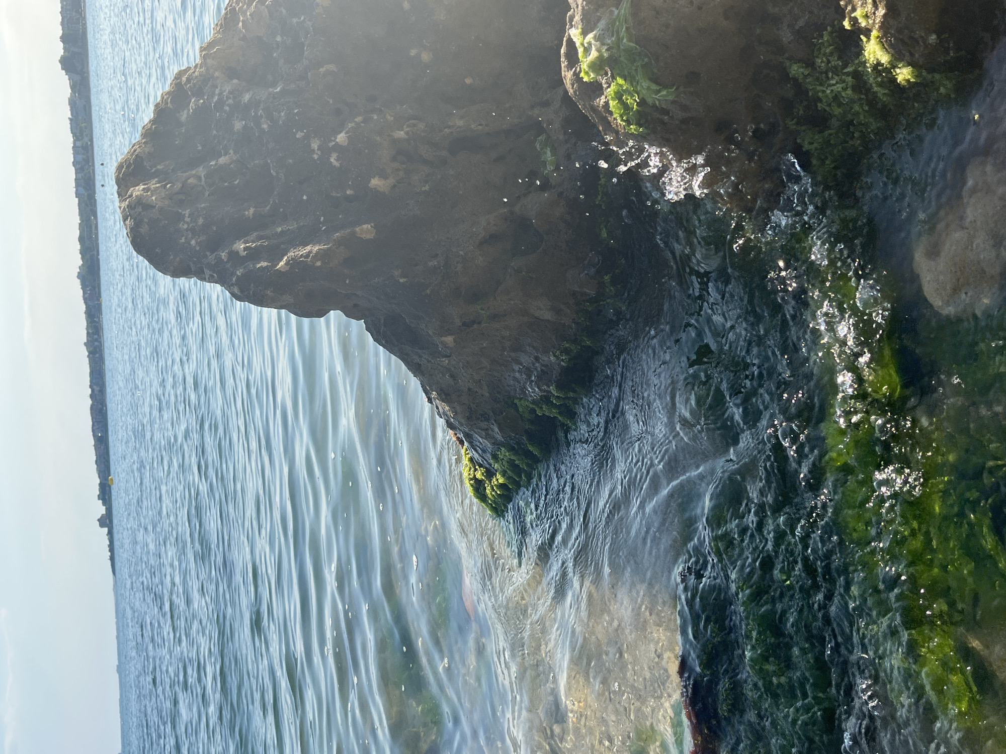 This image captures a close-up view of the rocky shoreline near the Black Sea in Nesebar, Bulgaria. A large, dark, porous rock dominates the right side of the frame, partially illuminated by sunlight. The rock is partially covered in vibrant green moss and algae, especially near its base where it meets the water. Small droplets of water are splashing against the rock's surface, indicating gentle wave action. To the left of the large rock, the clear blue water of the sea is visible, with subtle ripples and reflections. The underwater area is covered in dark green, thick algae, with small bubbles and light glinting off the surface. In the distance, a hazy shoreline with buildings and a yellow buoy can be seen, suggesting the presence of a town or resort area. The sky is a pale blue with a few faint clouds. No people are present in the image.