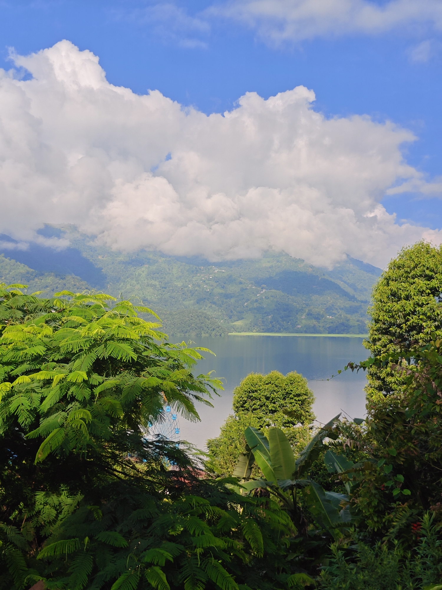 The image depicts a scenic view of Phewa Lake in Pokhara, Nepal. In the foreground, lush green foliage of trees and plants frames the scene. A large tree with fern-like leaves dominates the left side, while a smaller, rounder tree is visible on the right. In the middle ground, the calm waters of Phewa Lake stretch out, reflecting the sky and the surrounding mountains. A Ferris wheel, painted in blue and white, is partially visible through the foliage on the left, hinting at nearby recreational areas. The background features rolling, tree-covered hills and mountains, partially obscured by soft, white clouds against a bright blue sky. The overall impression is one of natural beauty and tranquility, with a touch of human development on the periphery.