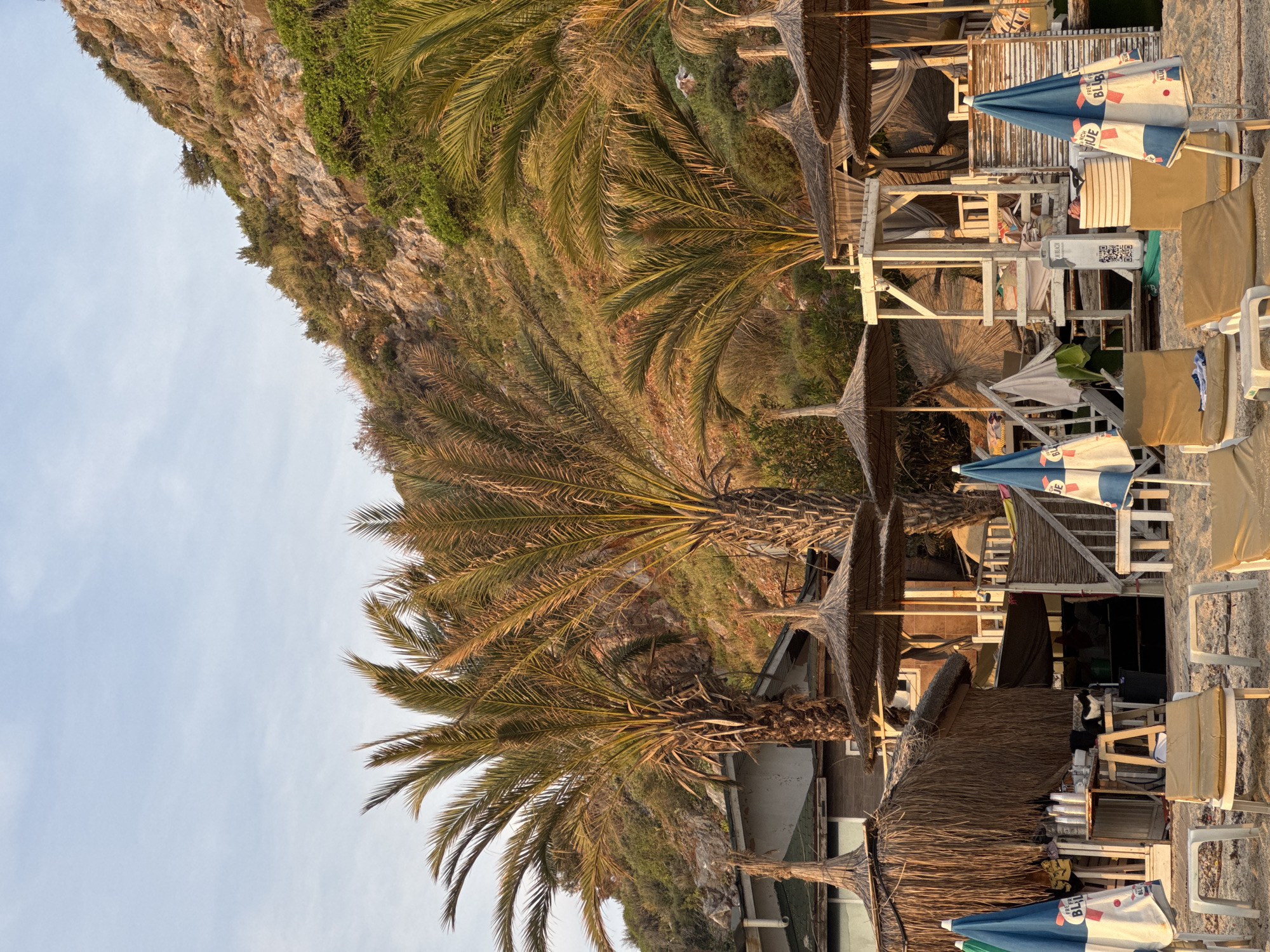 The image shows a beach scene in Unknown, Unknown. Palm trees are prominent in the foreground and middle ground, casting shadows on the beach and surrounding structures. Behind the palm trees, a rocky cliff covered in vegetation rises. Beach umbrellas and lounge chairs are visible on the sand. Some wooden structures, possibly beachside huts or bars, are also present.
