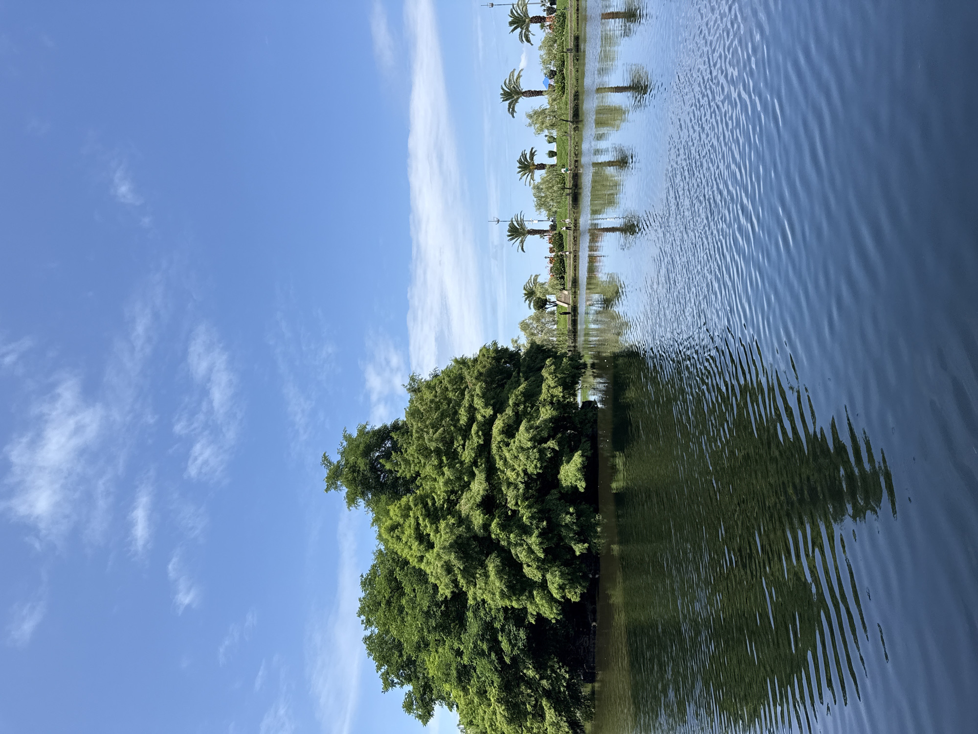 A body of water reflects a cluster of large, lush green trees situated on a small island on the left side of the image. The water is dark blue and shows ripple patterns. In the background, along the far bank, a line of palm trees and other greenery is visible under a bright blue sky with scattered white clouds. A few small figures of people can be seen walking along the bank.