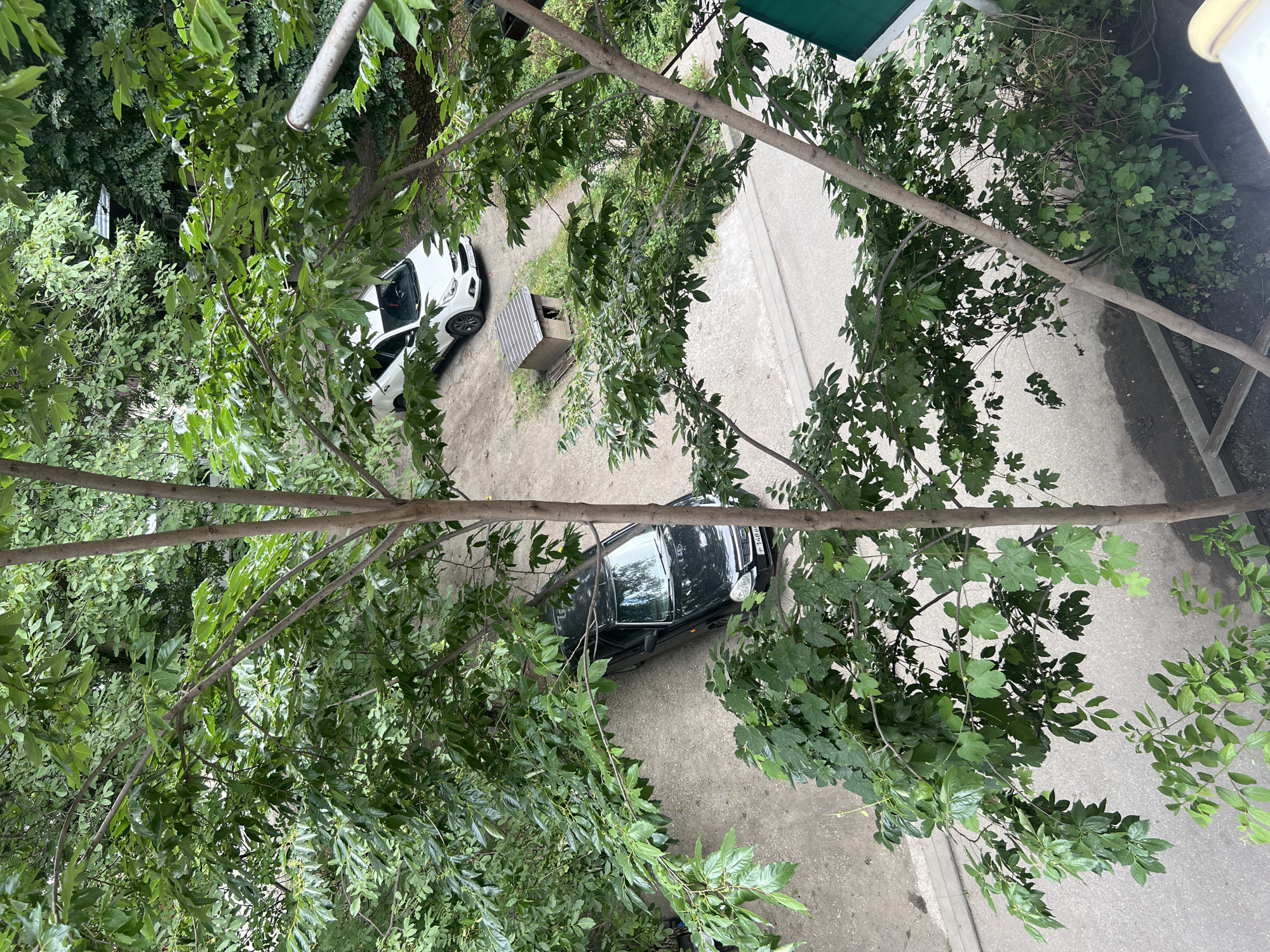 An outdoor, aerial view captures a residential courtyard in Nalchik, Russia, dominated by lush green foliage from two trees in the foreground. A dark-colored sedan is parked on a paved surface to the left, facing upwards in the frame. To the right and slightly further back, a white SUV is also parked. Between the two vehicles, a small, peaked doghouse with a metal roof sits on a patch of grass. The ground surrounding the vehicles appears to be a mix of pavement and gravel. The overall impression is one of a quiet, residential area with ample greenery.