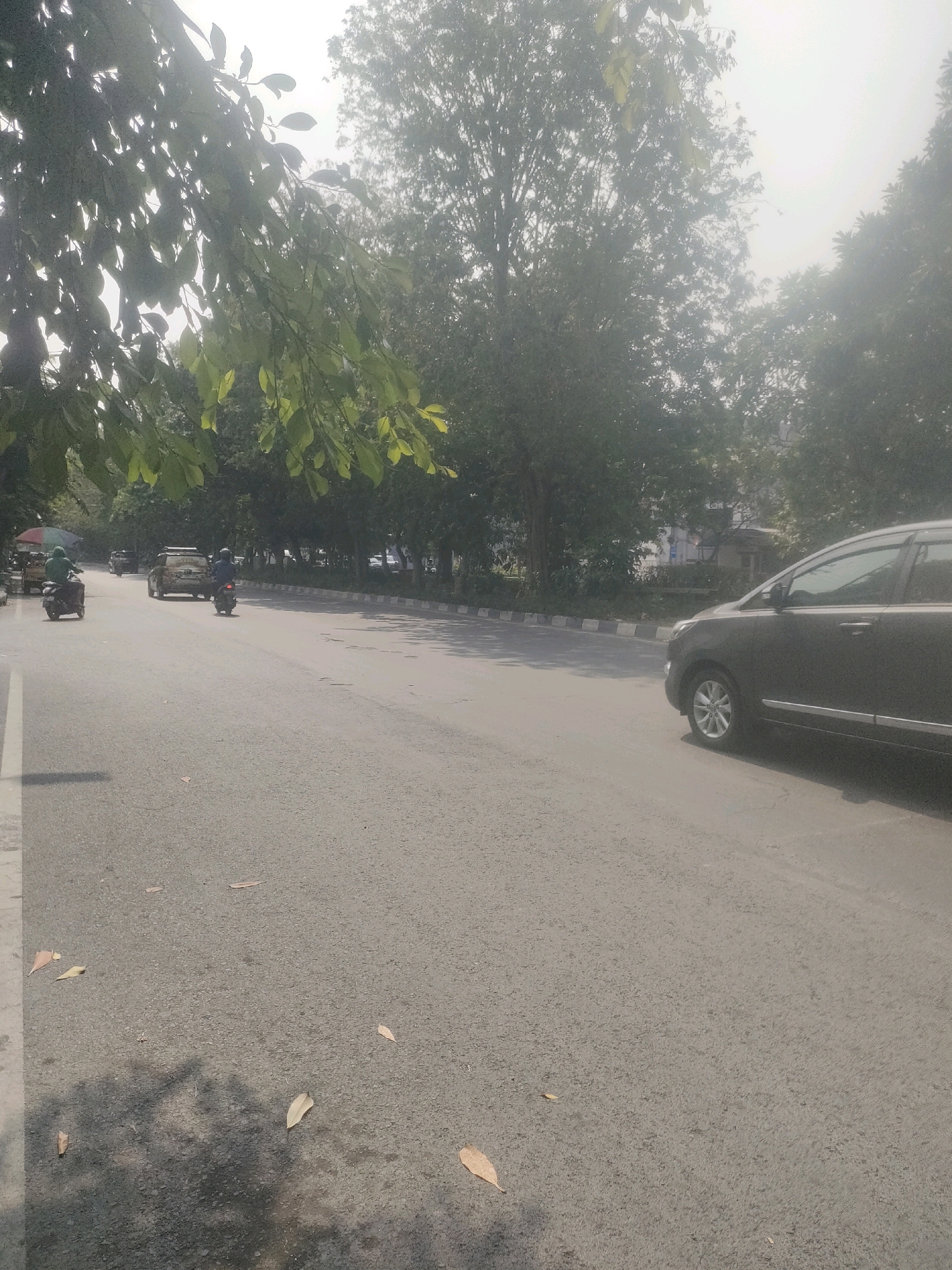 An outdoor, eye-level, medium shot captures a street scene in Surabaya, Indonesia. In the foreground, the asphalt road is visible, with scattered leaves and the shadow of tree branches on its surface. To the right, the rear side of a dark-colored car is parked. Further down the road, two motorcycles are in motion. The first, a white scooter with a rider wearing a green shirt and helmet, is on the left side of the road, while another motorcycle, ridden by a person in a dark shirt and helmet, is to its right. A white SUV is seen in the background between them. The left side of the road is lined with trees, their leaves hanging over the street, creating a canopy. Beyond the trees, buildings are faintly visible through the hazy atmosphere. The sky is bright and overcast.