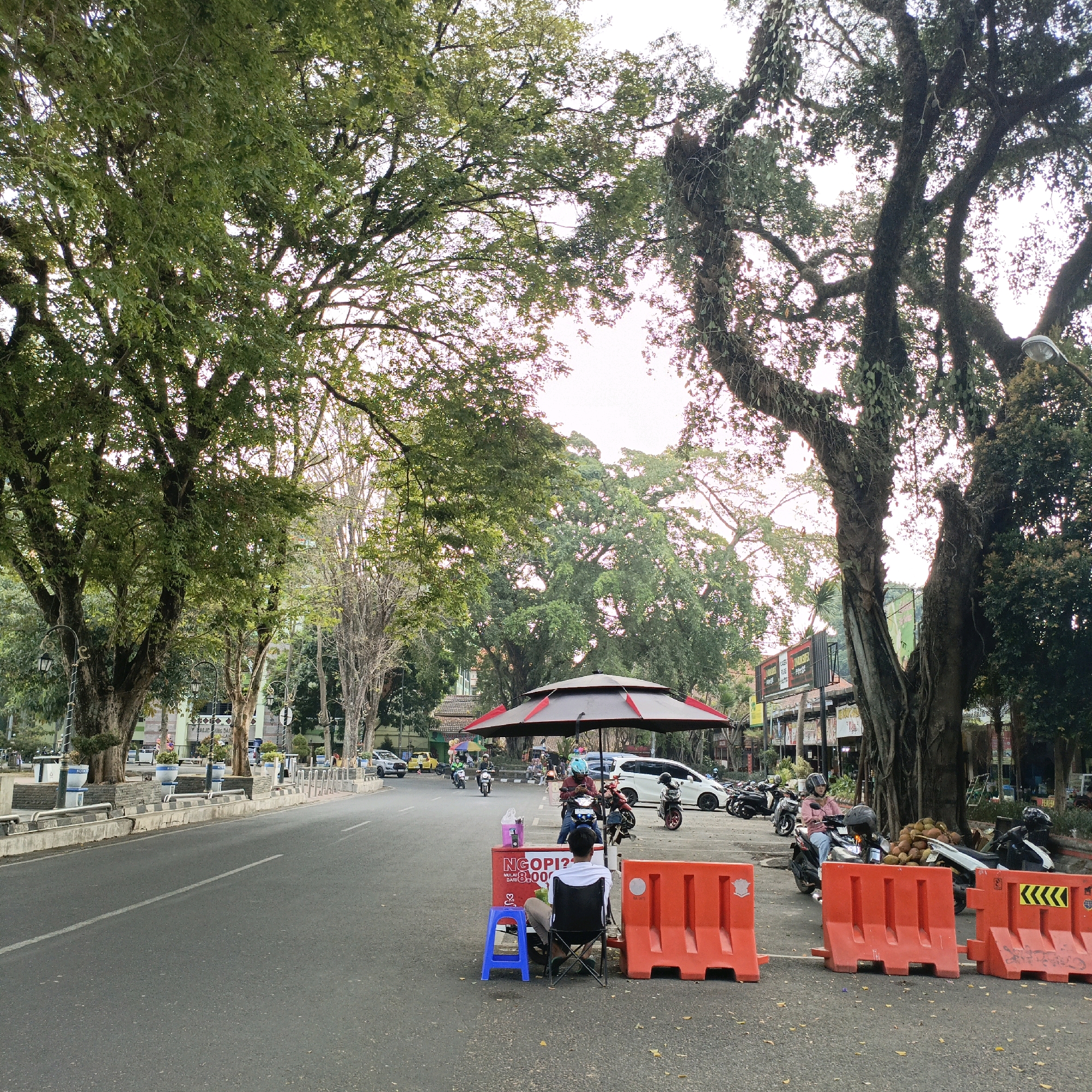 The image shows a street scene in Salatiga, Indonesia, with a focus on a small roadside stall. A person is sitting on a blue stool behind a red cooler that has "NGOPI?" and "MULAI" printed on it. They are facing away from the camera, towards a large, dark umbrella that provides shade. Next to the stall are several orange plastic barriers.
In the background, there are several motorbikes parked, and a few people are on them, some wearing helmets. A white car is also visible in the distance. The street is paved, and a white line marks the lane. Large trees with lush green leaves line the street, creating a canopy overhead, with one particularly large, old tree with vines growing on its trunk dominating the right side of the frame. The sky is bright and appears to be late afternoon or early morning, with a soft, diffused light. Buildings and advertisements are visible behind the trees on the right side of the image. The overall impression is a bustling urban street with a casual, informal commercial activity.