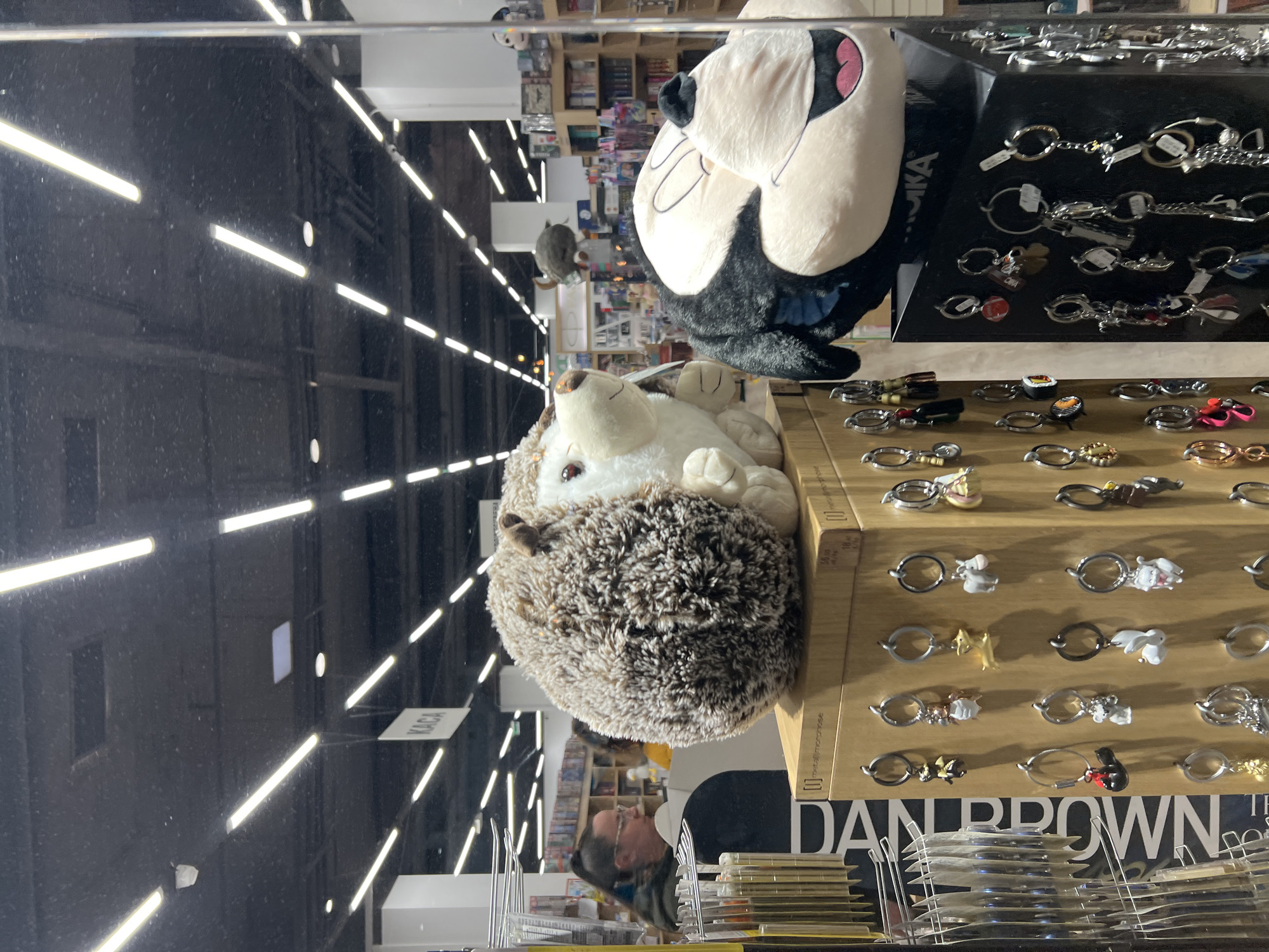 A shop display in Plovdiv, Bulgaria, features a plush hedgehog toy and a cartoon character plushie next to a tiered display of keychains. The bottom tier of the display is labeled "DAN BROWN." A person's reflection is visible in the display glass. Rows of ceiling lights reflect off the glass, indicating an interior space.