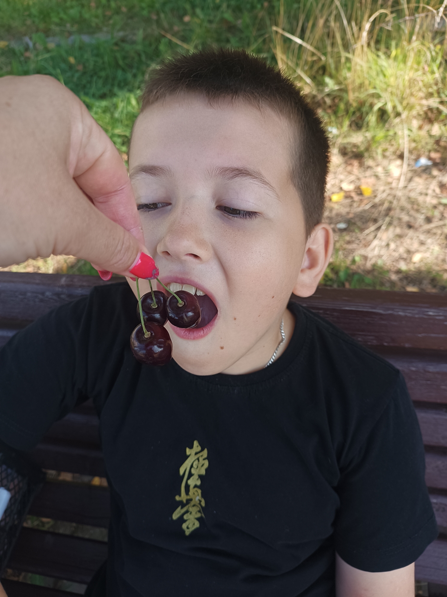 A young boy with short, dark hair and freckles on his face is sitting on a wooden bench outdoors, his mouth open as he is offered three dark cherries by a hand with red nail polish. The boy is wearing a black t-shirt with a gold emblem on it. The background consists of grass, dry leaves, and vegetation. The location is likely a park or outdoor recreational area in Chaikovsky, Russia.