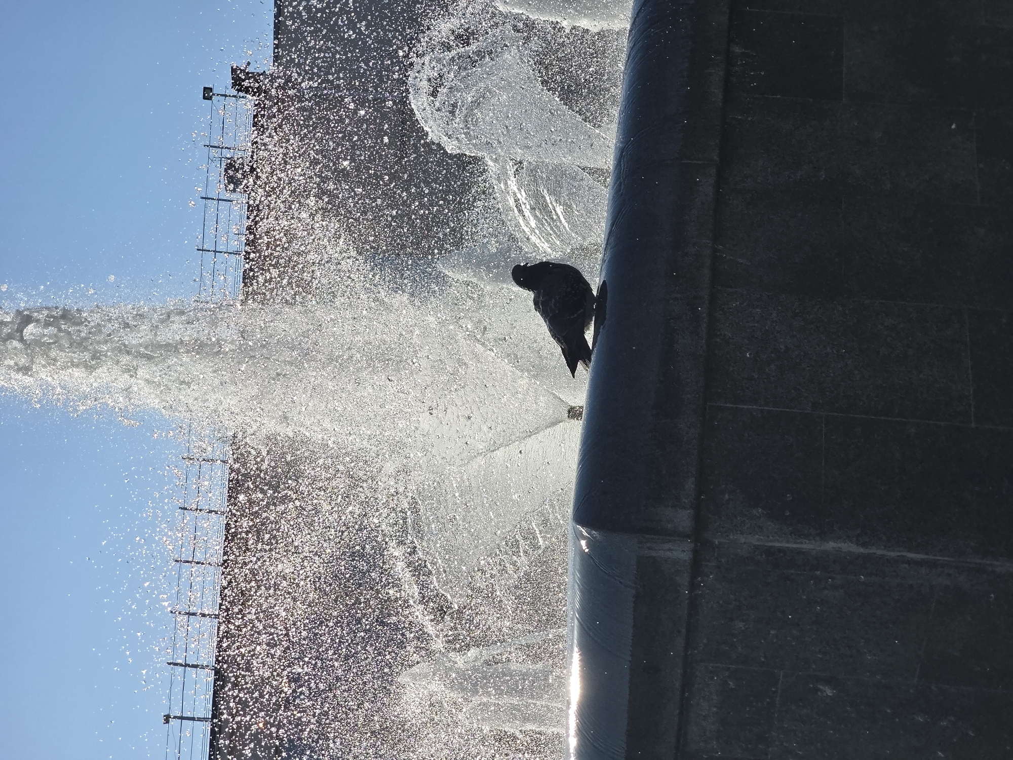 A pigeon perches on the edge of a fountain in Chaikovsky, Russia. Water sprays from the fountain, creating a shower of droplets. A metal ladder is positioned behind the fountain, visible against the blue sky. The fountain structure is constructed from dark-colored stone tiles.