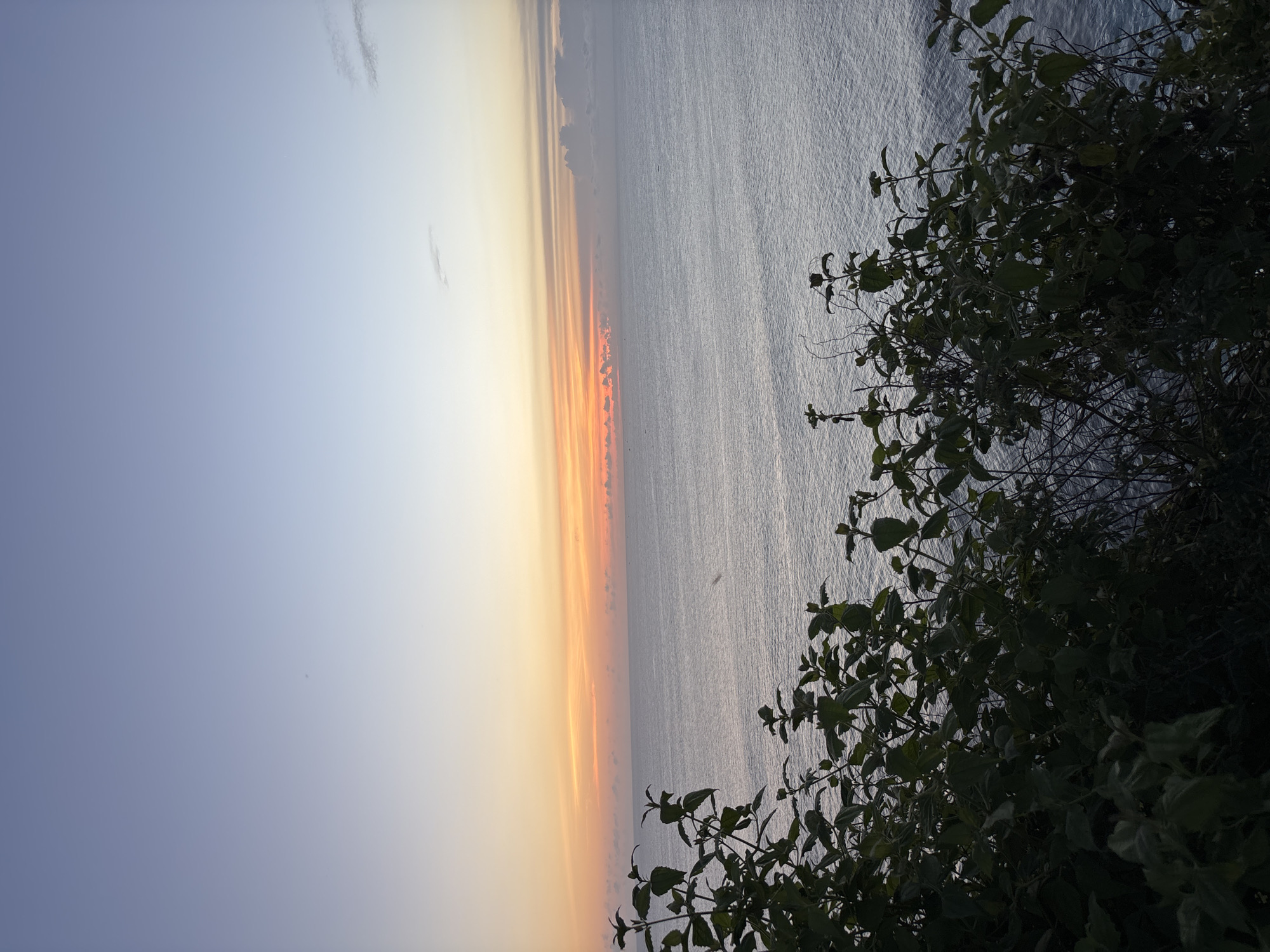 The image shows a sunset view over the ocean in Pecatu, Indonesia. The sky is transitioning from blue to orange and yellow hues near the horizon. The ocean reflects the colors of the sunset, appearing gray-blue. A dark green bush with visible leaves occupies the right side of the frame, partially obscuring the view. No people are visible.