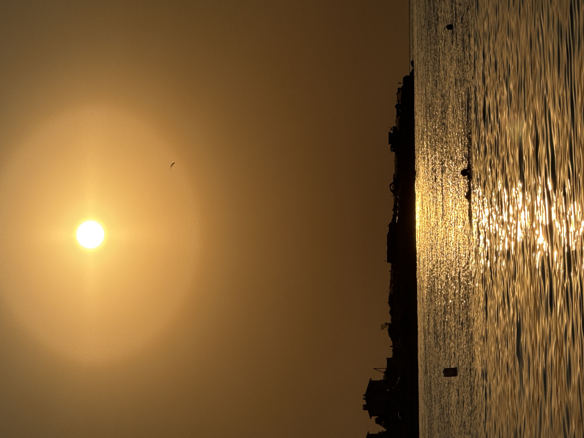 The image captures a serene sunset over the Black Sea, likely near Sevastopol, Ukraine. The sun, a bright disc in the upper portion of the frame, casts a warm, golden glow across the sky and the rippling water. The silhouette of a distant shoreline, dotted with buildings and trees, forms a dark band across the middle of the image. In the foreground, a solitary swimmer is visible in the water, their head and shoulders breaking the surface as they move through the shimmering, sunlit waves. A buoy floats in the water to the left of the swimmer, and another distant object, possibly another buoy or a person, is visible further to the right. A single bird is silhouetted against the sky in the upper right quadrant, adding a touch of life to the tranquil scene. The overall atmosphere is one of peaceful solitude and natural beauty.
