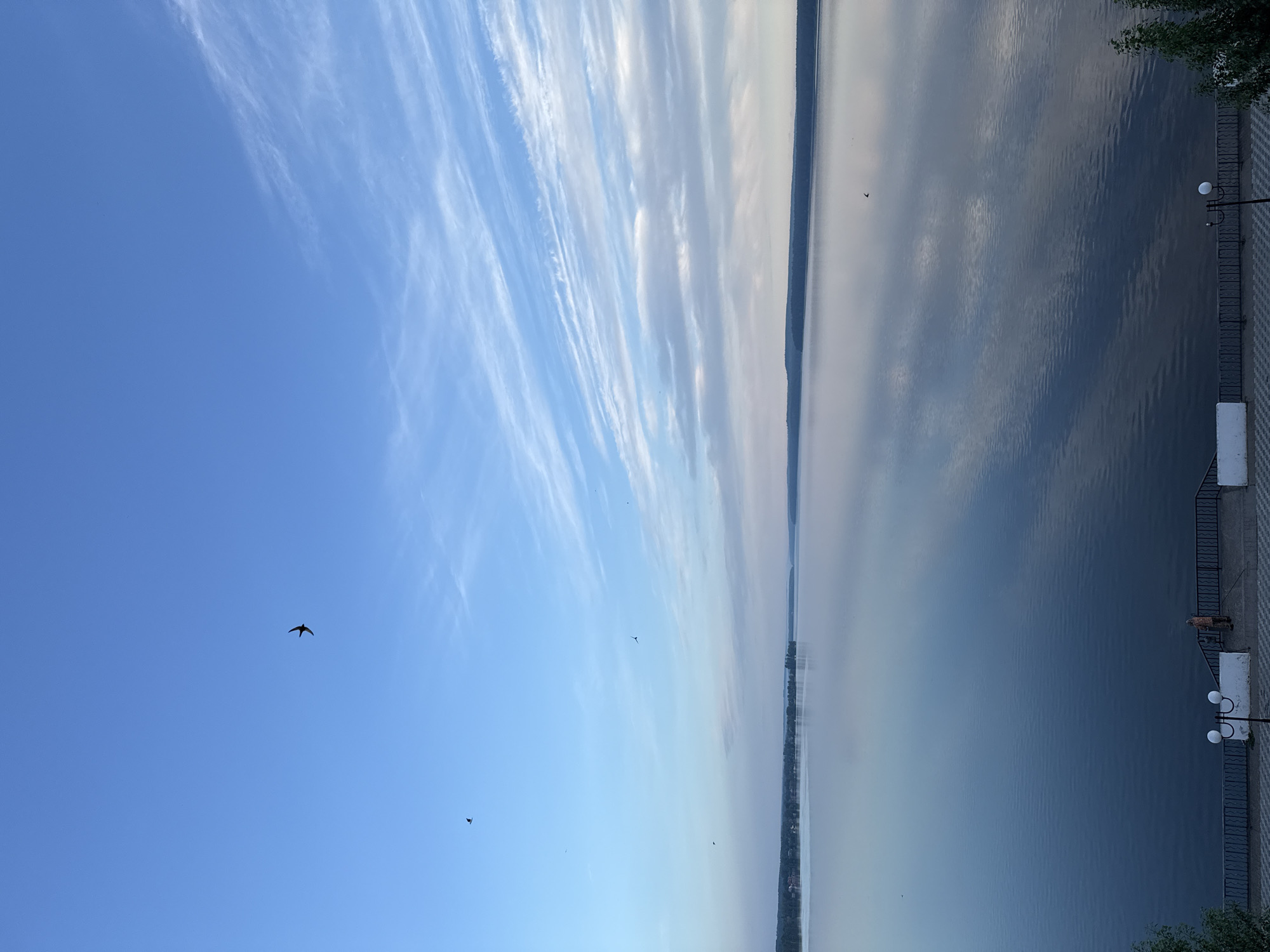 The image depicts a view of a body of water, likely a lake or wide river, from an elevated position in Votkinsk, Russia. The sky is a clear blue gradient with streaks of white cirrus clouds stretching across the top of the frame. These clouds are reflected in the water, which occupies roughly half of the image and displays a similar gradient from light to dark blue. On the right side of the frame, a concrete embankment with a decorative metal fence and streetlights is visible. The foreground features hints of vegetation, suggesting a park or landscaped area. Several small birds are flying in the sky.