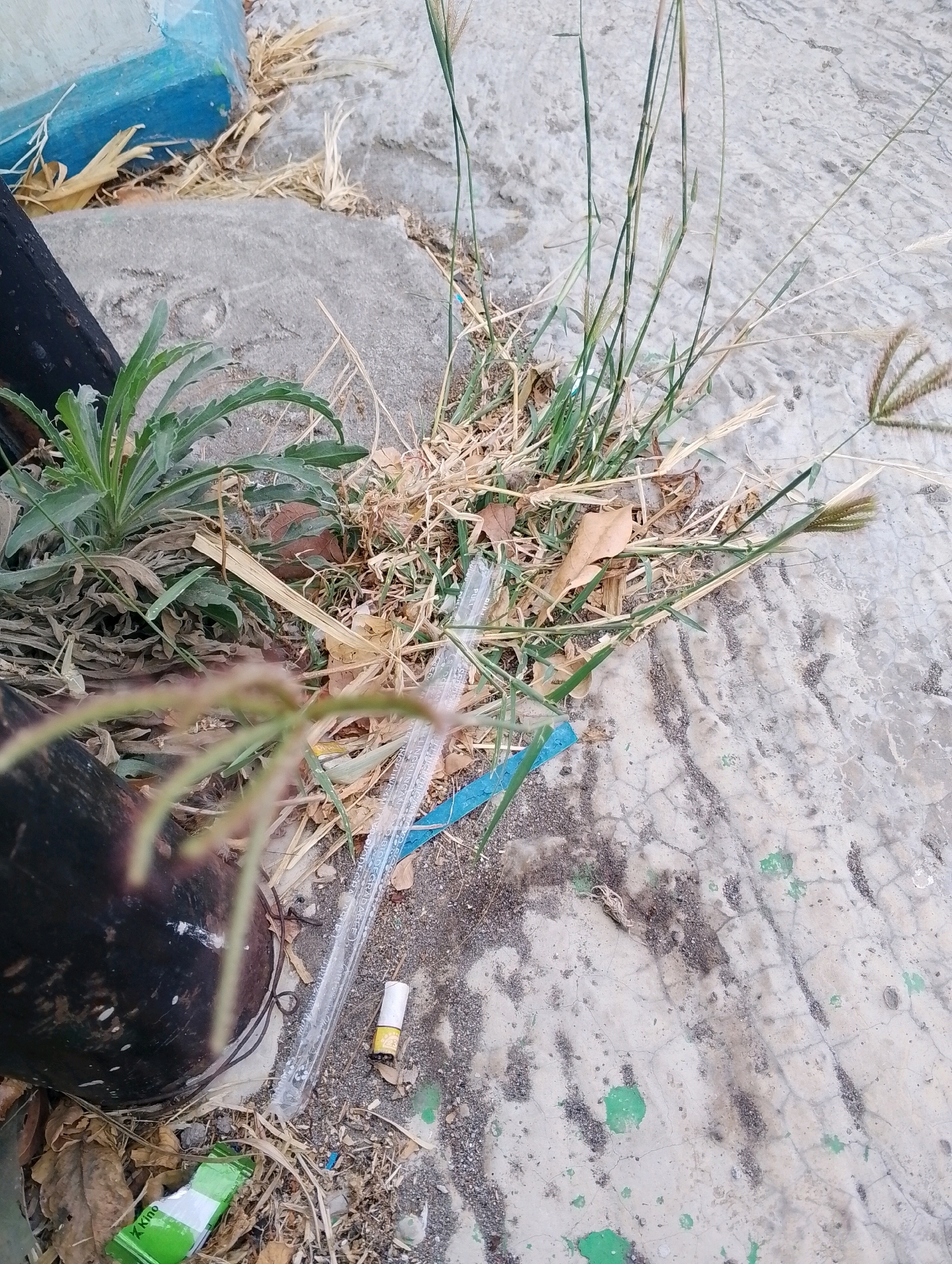 A close-up, low-angle outdoor shot depicts debris on a cracked concrete surface, interspersed with dry grass, green vegetation, and a dark vertical pole on the left. Visible items include a discarded cigarette butt with a yellow filter and a white paper body, a clear plastic tube, and a crumpled green and white package. The background consists of a light-colored concrete ground and a grey boulder. The image appears to have been taken in an urban or semi-urban area, possibly Papungan, Indonesia, given the context.