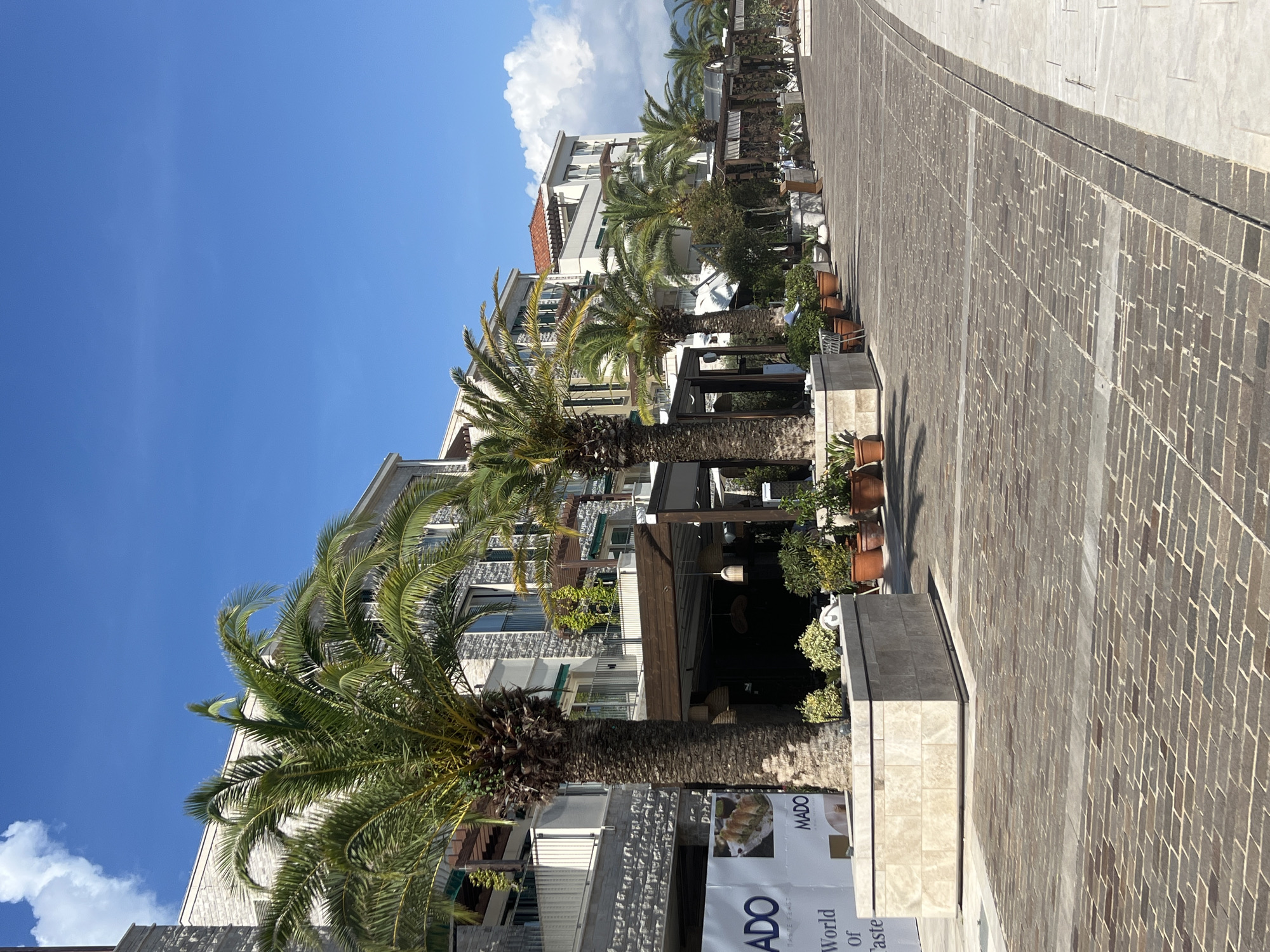 This image captures a bright, sunny outdoor scene featuring a paved promenade lined with buildings and palm trees. A wide walkway, constructed from alternating dark grey and lighter grey rectangular pavers, extends from the foreground into the distance on the right.
To the left of the walkway, several multi-story buildings are visible. They feature light-colored facades, some with grey stone or tile accents, and balconies. Portions of red-tiled roofs can be seen on some of the structures. In front of these buildings, there appear to be outdoor seating areas, possibly for restaurants or cafes, shaded by awnings or pergolas.
Several tall, mature palm trees with thick, textured trunks and lush green fronds are interspersed along the walkway, between the paved area and the buildings. Numerous potted plants and other greenery are placed along the establishments, adding to the verdant atmosphere.
The sky is a vibrant, clear blue with a few fluffy white clouds scattered across it, indicating a pleasant and sunny day, likely late morning or early afternoon. No people are visible in the frame, suggesting a quiet moment on the promenade.
A white banner is prominently displayed near the foreground, associated with one of the establishments. It clearly shows the word "MADO" in large letters, with smaller text below that reads "World of Taste." An image of what appears to be a dessert or pastry is also visible on the banner. The overall scene suggests a pleasant, perhaps resort-like, setting in a warm climate, consistent with the provided location context of Đenovići, Montenegro.