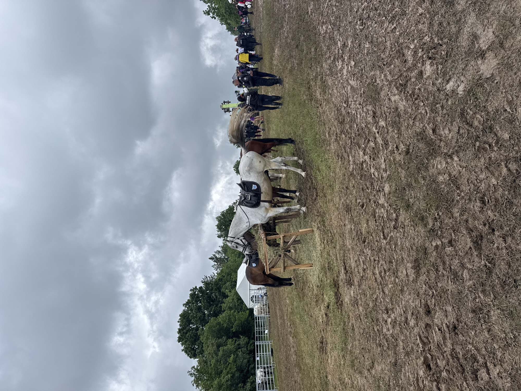 The image depicts a muddy field under a cloudy sky. Two horses, one gray and one brown, are near a wooden structure. A crowd of people is visible in the background, some wearing yellow and black attire. The ground appears churned up, suggesting recent activity or inclement weather. Trees are visible along the side. Based on the presence of police personnel, it could be related to an event. The location is in Lyaskovets, Bulgaria.