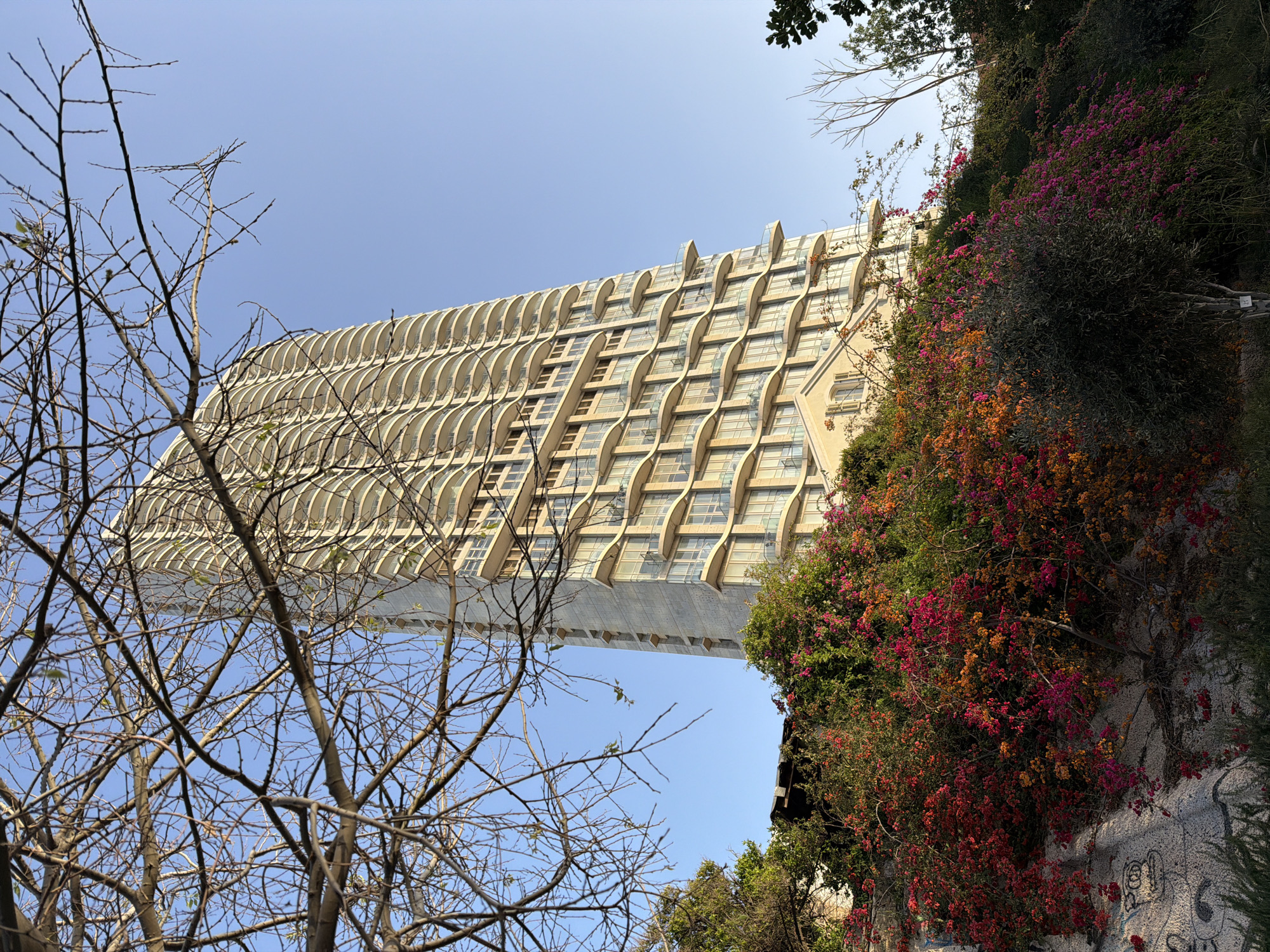 The image shows a building with a distinctive facade, appearing to overhang from the perspective of the viewer. The building has multiple floors with rows of curved architectural features above the windows. A large mass of greenery, including flowering bushes with pink and orange blossoms, is visible to the right of the building. Bare tree branches are in the foreground on the left side of the image. The sky is light blue. The building is located in Tel-Aviv, Israel.