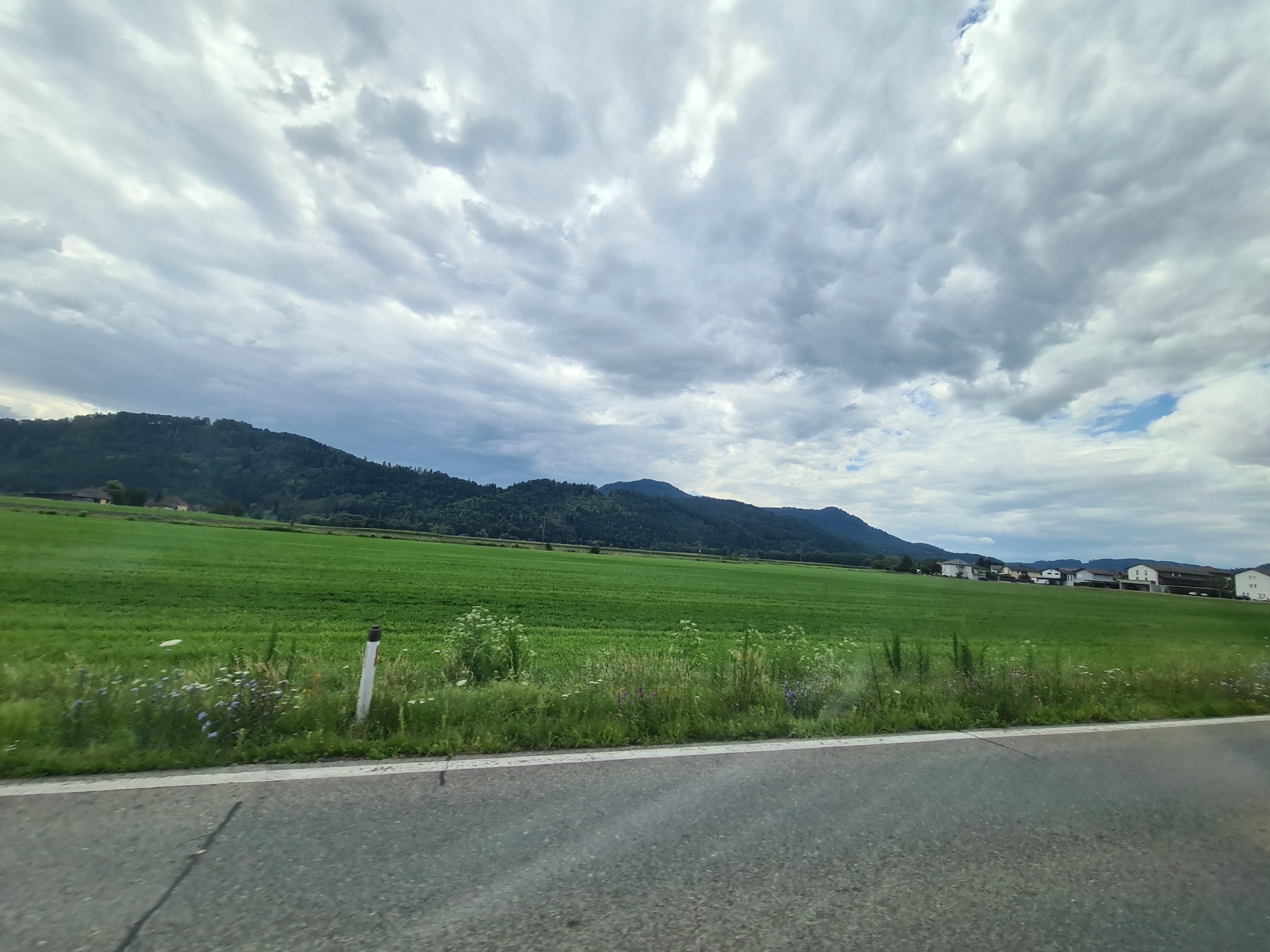 The image depicts a rural landscape under a cloudy sky. In the foreground, a grey asphalt road with a white stripe runs horizontally across the bottom of the frame. To the left of the road, a bright green field stretches into the distance. A white and red marker post stands in the grass bordering the field. The field is bordered by a line of wild flowers and grasses. Beyond the field, a range of tree-covered hills forms the background, with a few houses visible on the right side of the frame. The sky is filled with a variety of grey clouds, with some patches of blue sky showing through. The scene appears to be located in Radelsdorf, Austria, given the architectural style of the houses and the mountainous terrain. There are no people or animals visible in the image.