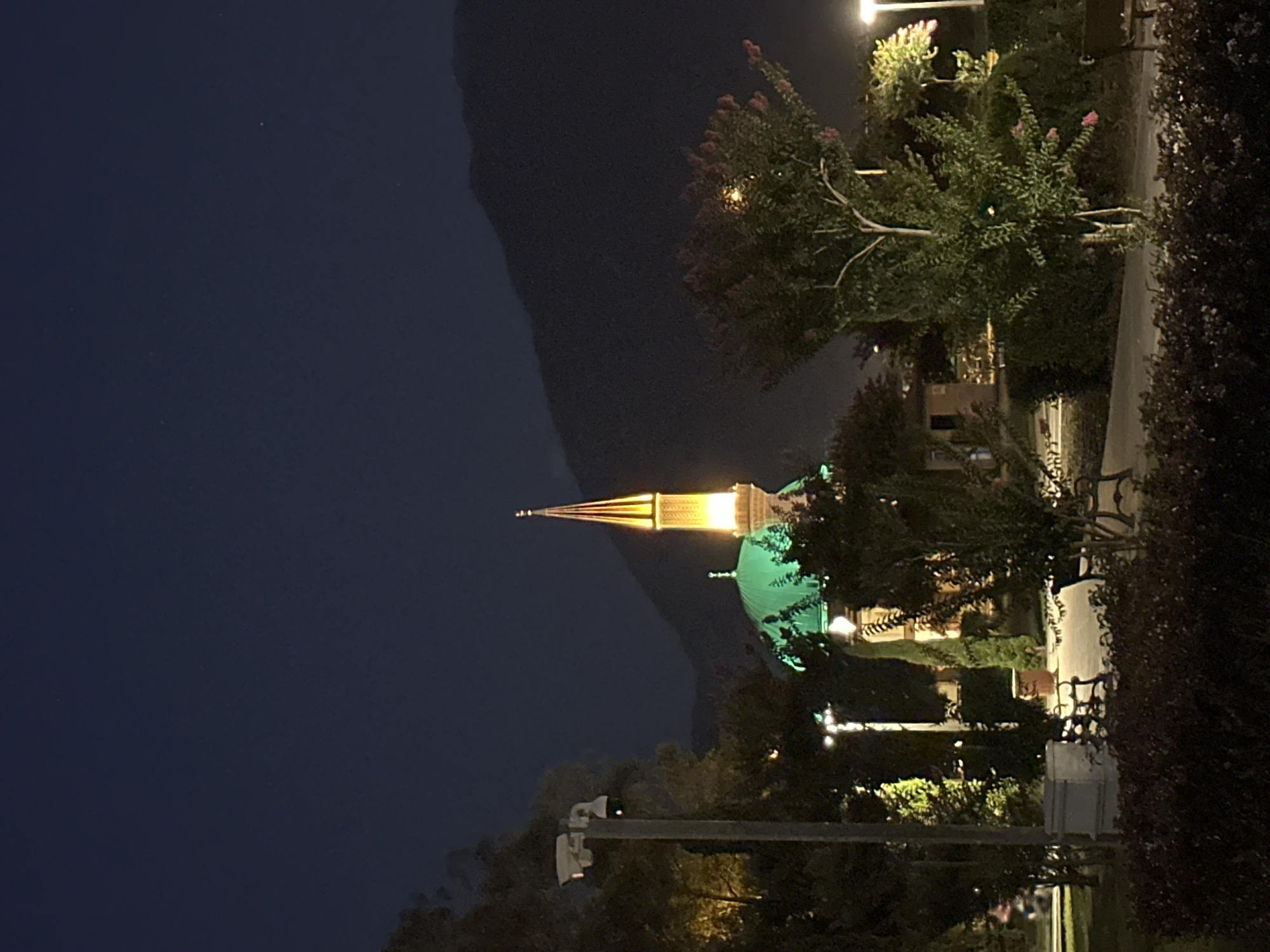 The image depicts a nighttime view of a mosque with a green dome and a tall, illuminated minaret. The mosque is situated in a park-like setting, with trees, benches, and lampposts visible. In the foreground, a pathway winds through bushes and ornamental plants. In the background, a dark mountain range looms against the night sky. The scene appears to be located in Fethiye, Turkey, likely near the city center given the presence of a prominent mosque and public park. There are no people visible in the frame. The overall atmosphere is tranquil and illuminated, highlighting the architectural beauty of the mosque against the natural landscape.