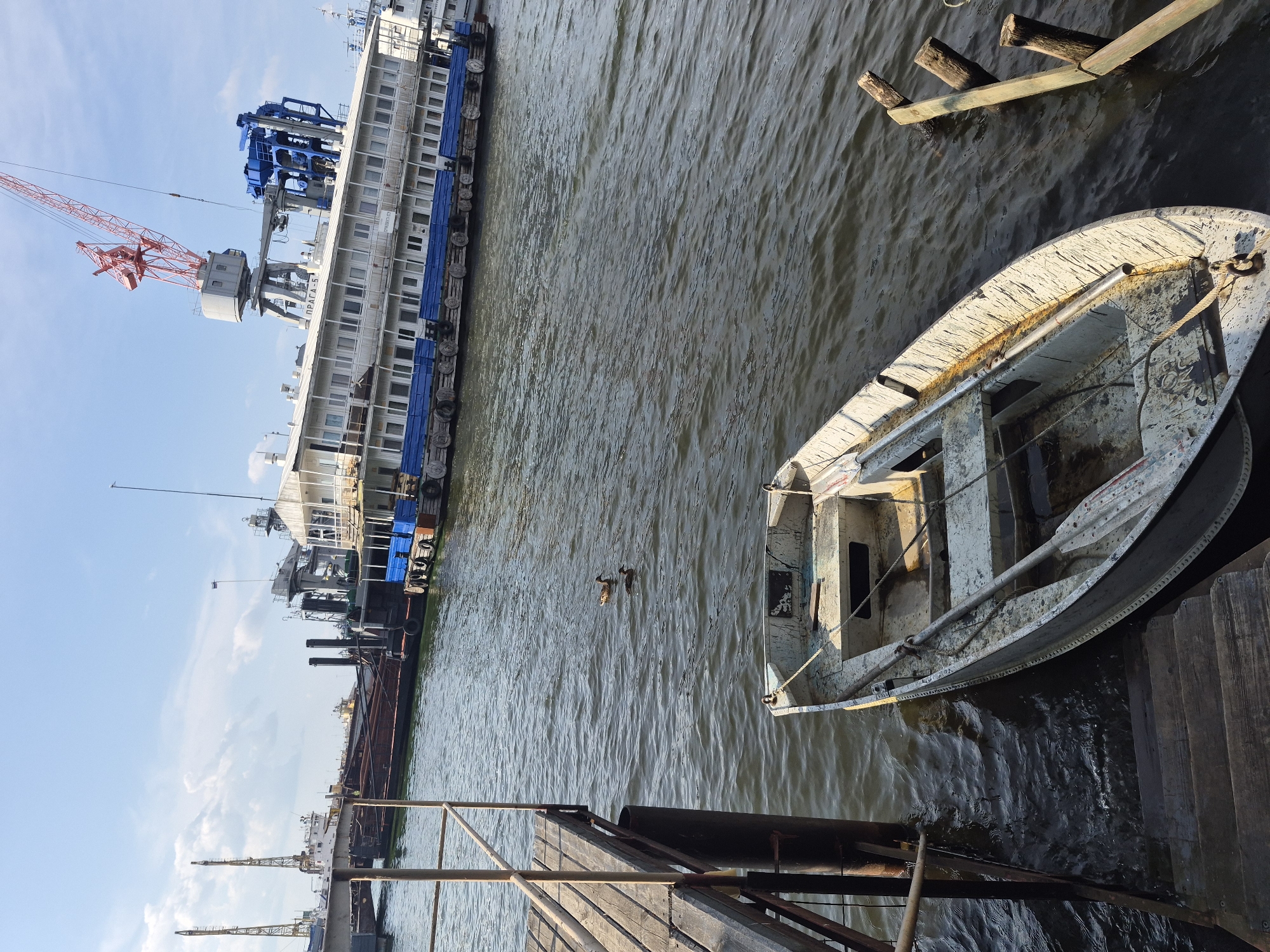 The image depicts a view of the Kama River in Chaikovsky, Russia, on a clear, sunny day. In the foreground, a small, weathered rowboat is moored to a wooden dock. The boat is empty and appears to be made of aluminum. Two mallard ducks are swimming in the water near the boat. In the background, several large vessels are docked, including a long passenger boat with multiple windows, a cargo barge, and a large red industrial crane. The sky is blue with scattered white clouds.