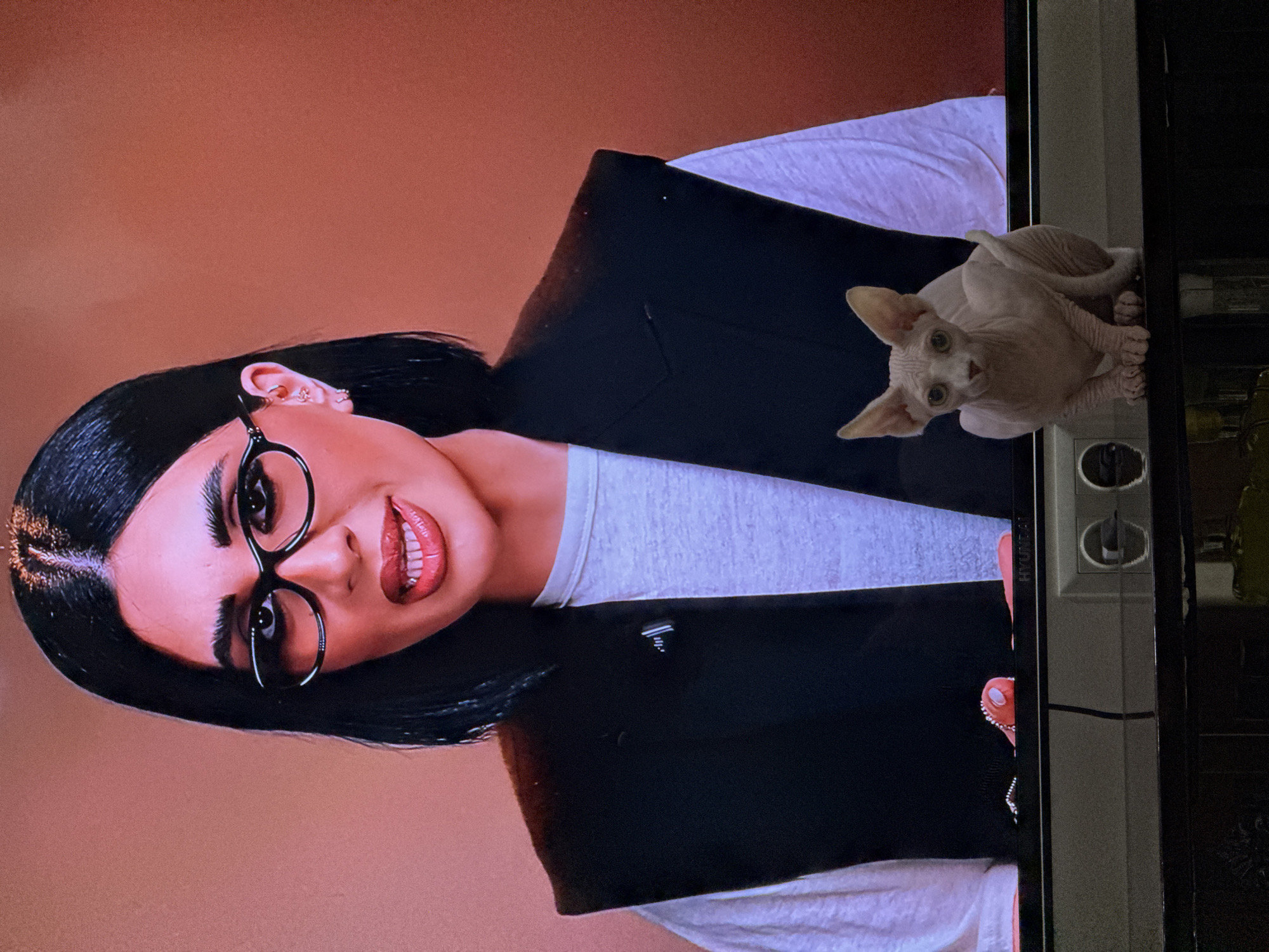 A Sphynx cat perches on the top right of a flatscreen television displaying a woman with dark hair and glasses. The woman is wearing a black blazer over a white shirt. The television is next to an electrical outlet. The city is not apparent, but the outlet is in Yerevan, Armenia.