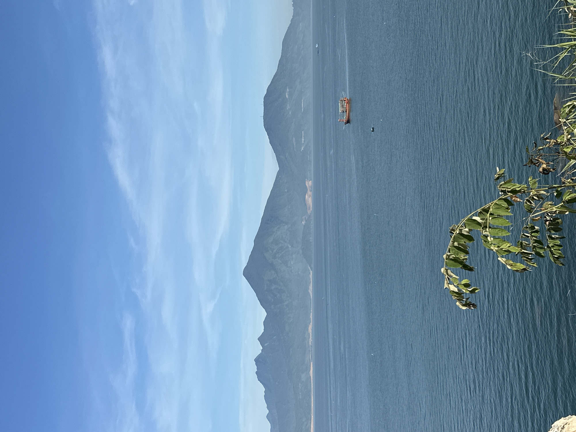 The image depicts a wide expanse of the sea under a clear blue sky with scattered wispy clouds. In the distance, a range of rugged, green-hued mountains forms the horizon. The water is a deep blue, rippling gently, with a few small boats visible on its surface. One larger, orange and white fishing boat is positioned closer to the center of the frame. In the foreground, the leaves of a branch and some blades of grass are visible, suggesting the photo was taken from an elevated vantage point overlooking the sea. The scene conveys a sense of tranquility and natural beauty, likely capturing a view of the coastline of Da Nang, Vietnam, known for its picturesque beaches and mountainous backdrop.