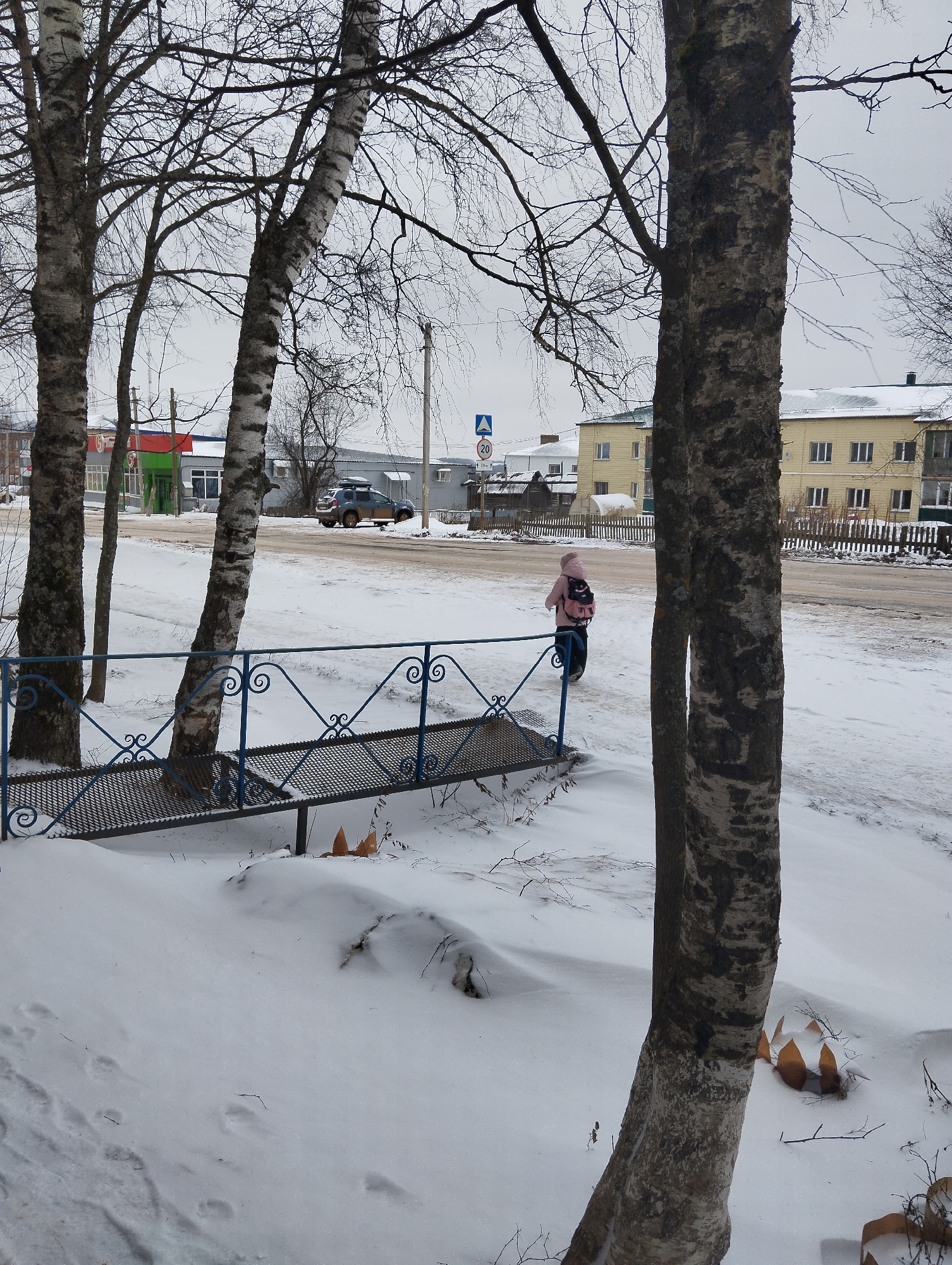 The image captures a winter scene in what is identified as Krasnogorskoye, Russia. A child wearing a pink jacket and a black backpack is walking along a snow-covered roadside. A metal pedestrian bridge or railing is visible in the foreground, next to birch trees. Buildings are visible in the background along with a car. Snow covers the ground and vegetation, and the sky appears overcast.