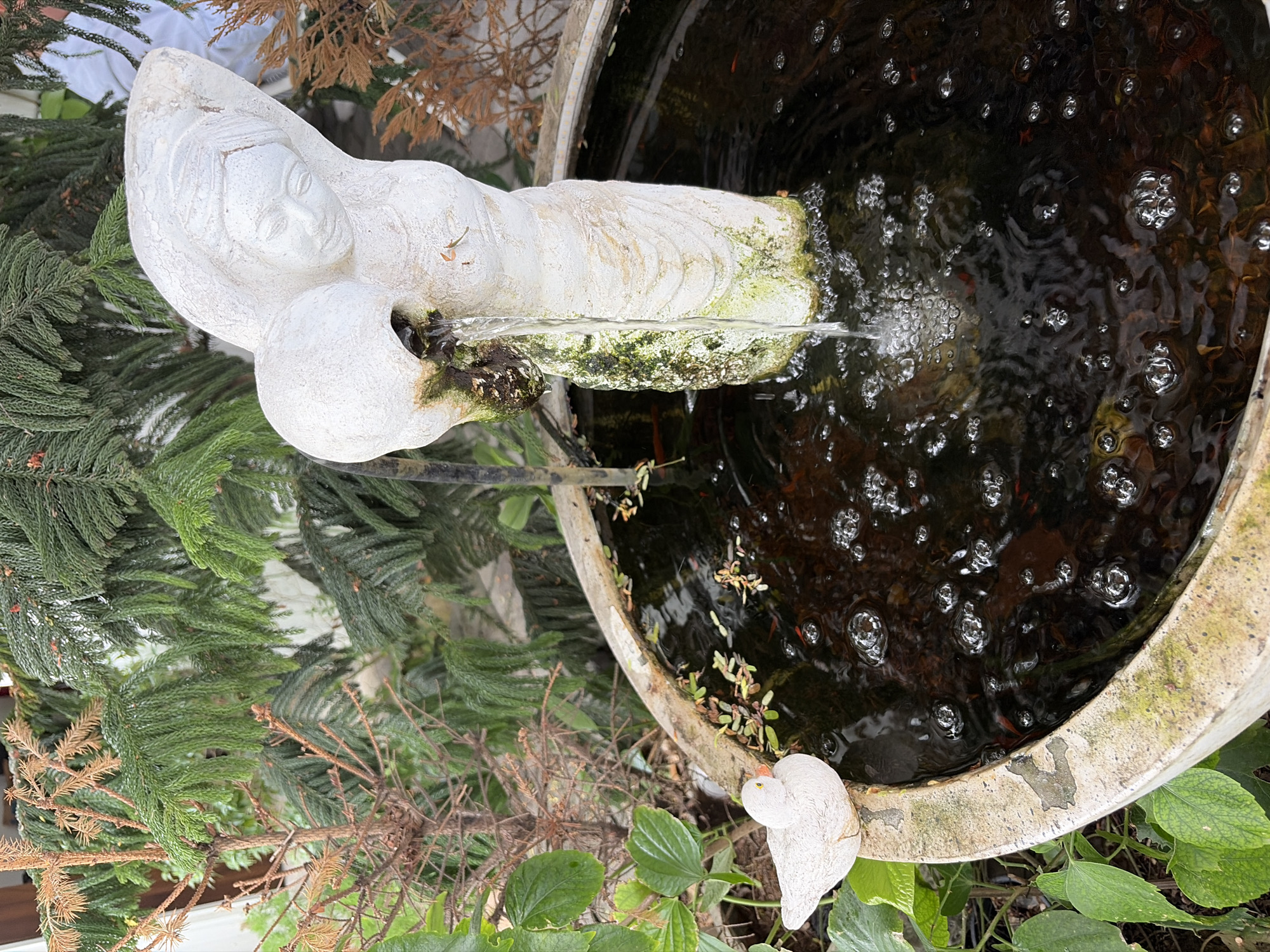 A white statue of a woman holding a sphere in front of her chest stands in the center of a circular stone fountain filled with dark water. Water pours from the sphere, creating ripples and bubbles on the surface. A small, white ceramic bird figurine sits on the edge of the fountain to the left. Lush green and dry brown foliage surrounds the fountain, with a hint of a white wall in the background. The scene is likely an outdoor decorative element, possibly in a garden or courtyard within Đà Nẵng, Vietnam.