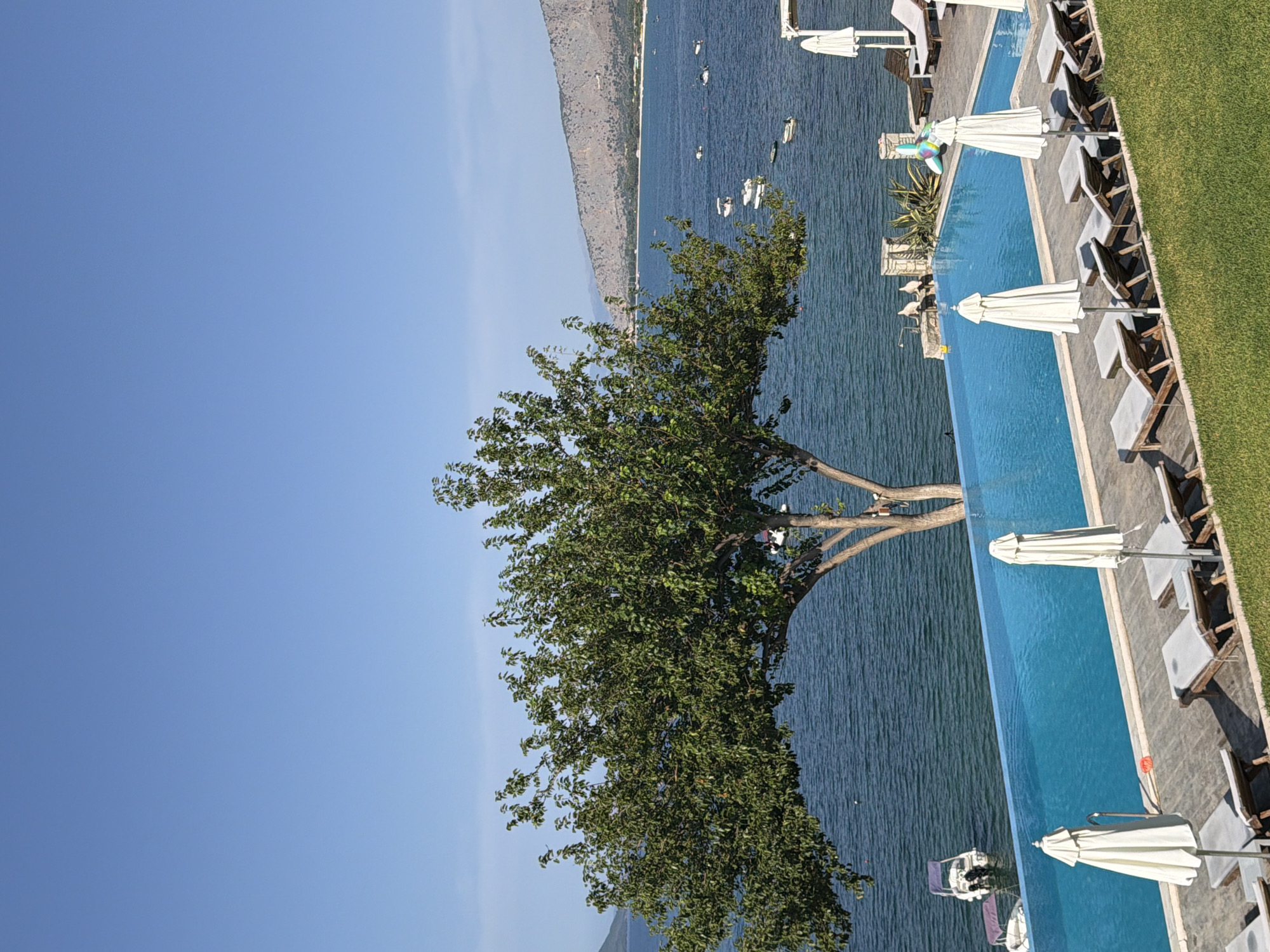 This is a wide-angle, eye-level, full-shot photograph of an infinity pool overlooking a calm, blue sea under a clear, bright blue sky. The pool has several white umbrellas and lounge chairs lined up along its edge, with some appearing unoccupied. A large, leafy green tree is positioned in the mid-ground, partially obscuring the view of the sea and a distant, mountainous coastline. Several small boats are scattered across the water. The overall scene suggests a tranquil resort or vacation setting in the Municipal Unit of Alyzia, Greece, likely on a sunny day.