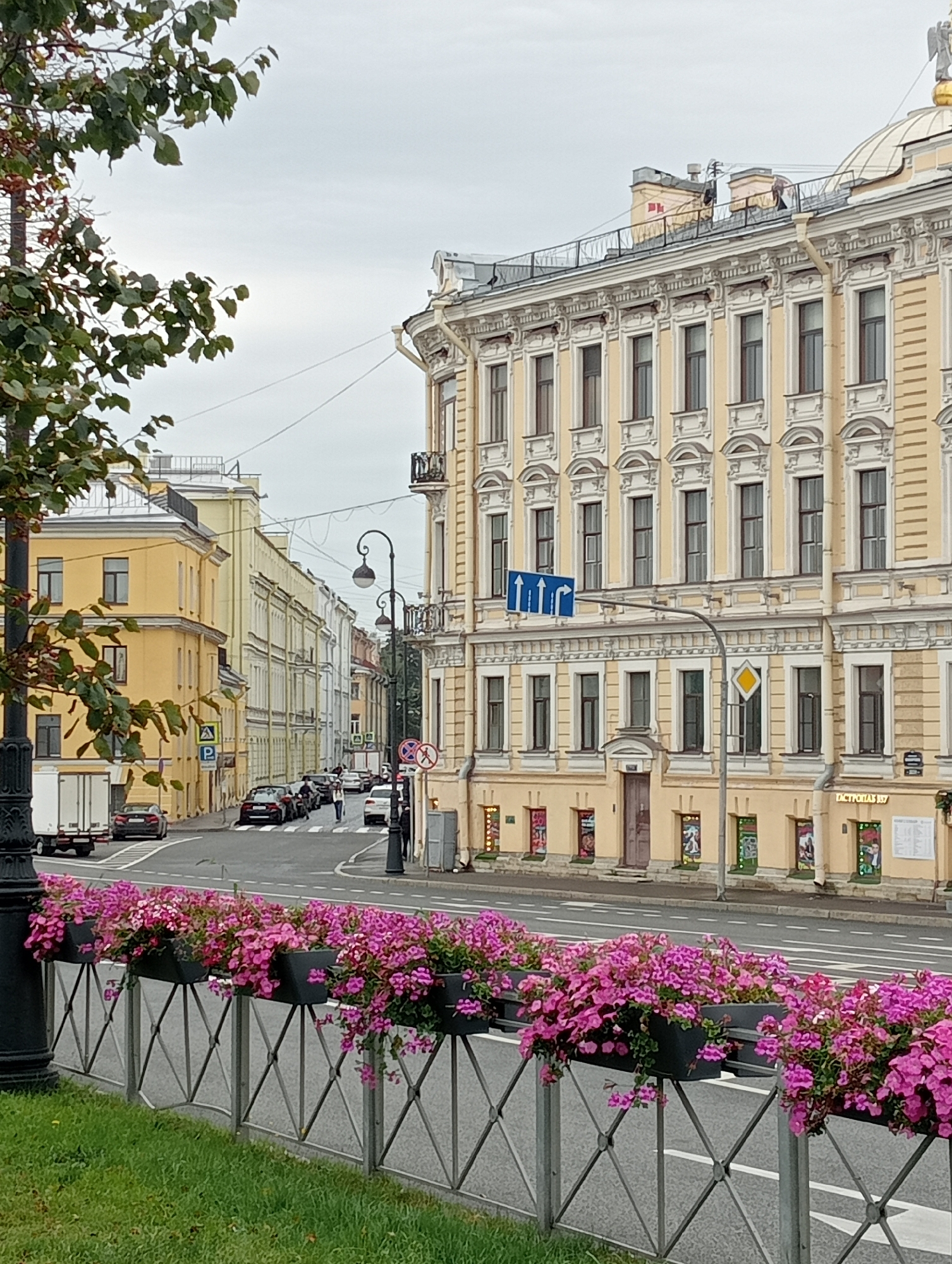 The image depicts a street scene in Saint Petersburg, Russia, likely near Nevsky Prospect, characterized by its historic architecture. On the right, a grand, pale yellow neoclassical building with multiple floors and ornate detailing dominates the frame. It features numerous windows, decorative moldings, and a Mansard roof. Several people are visible on the sidewalk in front of the building. A street with parked cars and moving traffic runs through the center of the image. In the foreground, a metal fence is adorned with black planters overflowing with vibrant pink petunias, which also spill over the fence. Adjacent to the fence is a strip of well-maintained green grass. On the left side of the street, similar yellow buildings line the road, with one closer building featuring a white truck parked in front. The sky is overcast and a tree with green leaves is visible in the upper left corner.