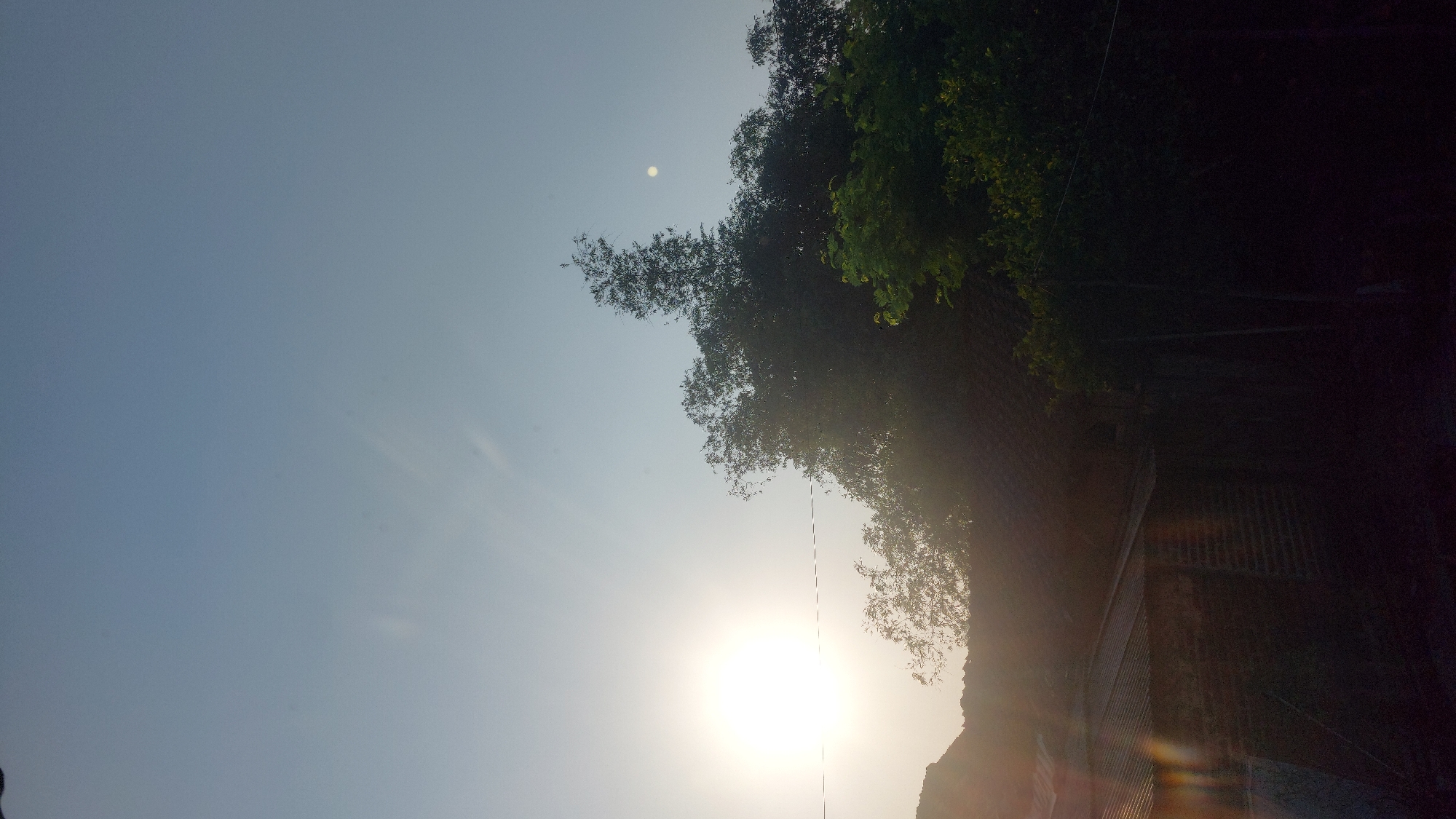 The image depicts a rural scene in Jatirogo, Indonesia, at dusk. The sun, low on the horizon, casts a bright, diffused light across the sky, creating a hazy atmosphere. Silhouetted against the sky are dense trees and vegetation. In the foreground, the roof of a brick building is visible, with some trees partially obscuring it. A faint, dashed line, possibly a power line, runs horizontally across the middle of the frame. The overall impression is one of a tranquil, natural setting as daylight fades.