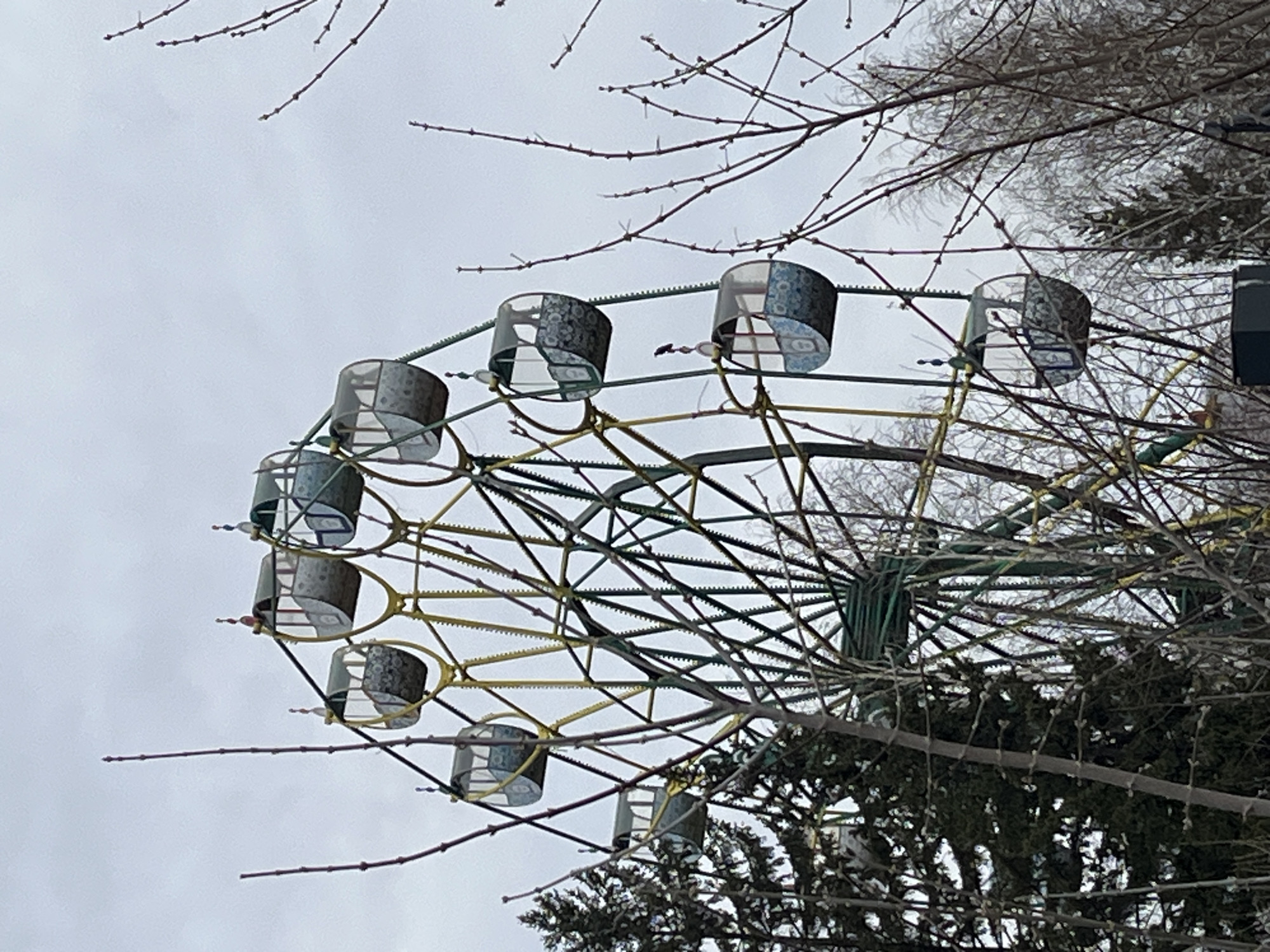 The image shows a ferris wheel with partially enclosed seats. The wheel is partially obscured by bare tree branches and greenery. The sky is overcast. The location appears to be a park in the city of Unknown, Unknown.