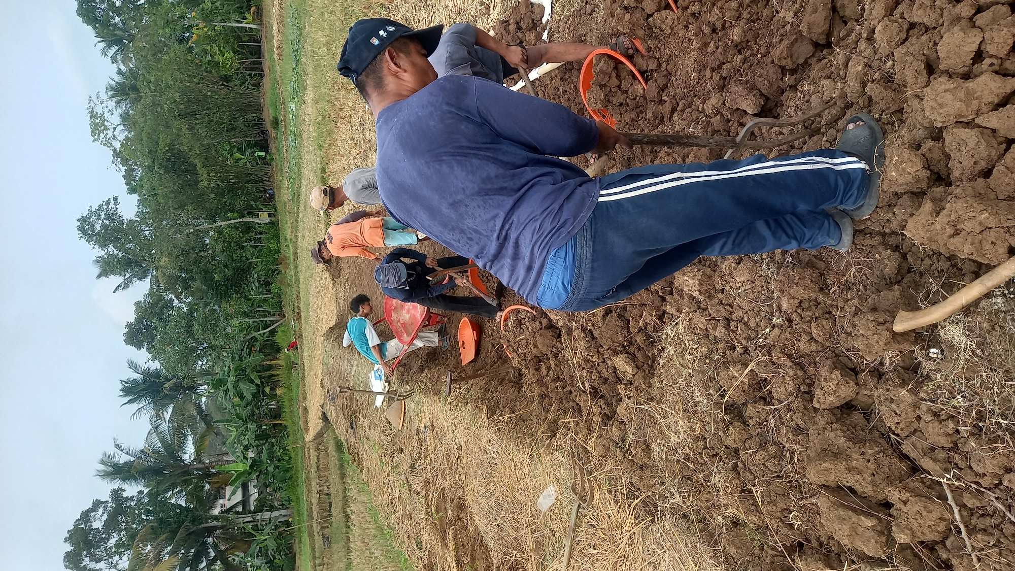 The image depicts an outdoor scene in a rural area, likely Sidamulya, Indonesia, where several individuals are engaged in manual labor. The ground is rough and earthy, with loose soil and dried vegetation. A group of men, dressed in casual clothing, are working together, primarily using shovels and other digging tools. One man in the foreground, wearing a blue shirt and dark pants with white stripes, is actively digging into the soil. In the middle ground, another man in an orange shirt and a brimmed hat is also using a shovel. A red wheelbarrow is visible near a trench, suggesting the removal of earth. In the background, there is a dense cluster of trees and vegetation, characteristic of a tropical environment. The sky appears overcast, indicating a cloudy day. The overall activity suggests a communal effort, possibly for agricultural purposes or infrastructure development.