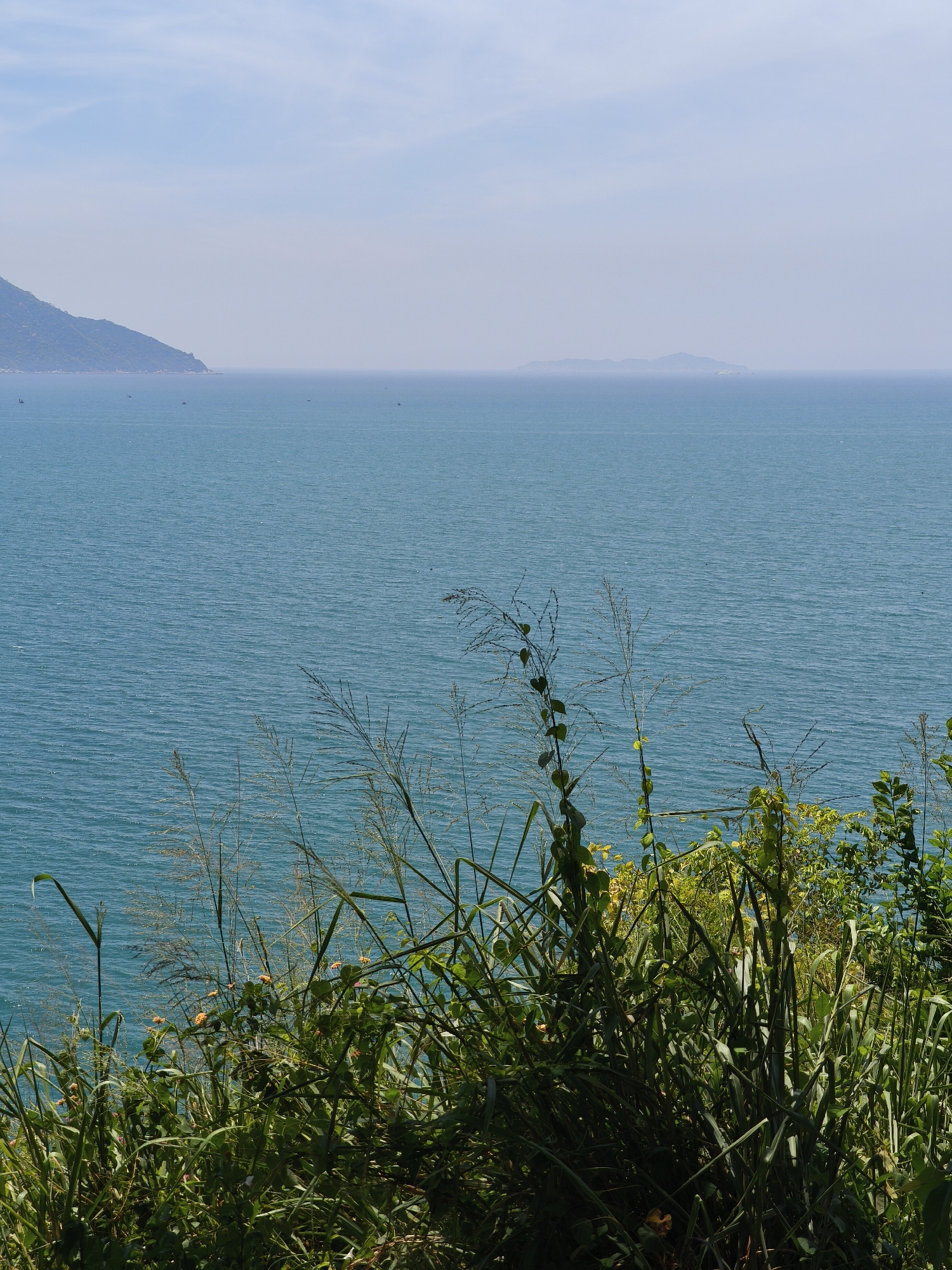 The image depicts a coastal landscape in Bac Nha Trang Ward, Vietnam. In the foreground, dense green foliage with tall grasses and some flowering plants occupies the lower portion of the frame. Beyond the vegetation, a vast expanse of calm, turquoise ocean stretches to the horizon. In the distance, a hazy mountain range is visible on the left side, extending into the sea. Further out, a small, indistinct island or landmass appears on the horizon under a pale blue, hazy sky. Several small boats are scattered across the water. The scene suggests a peaceful, natural environment with a view of the sea.