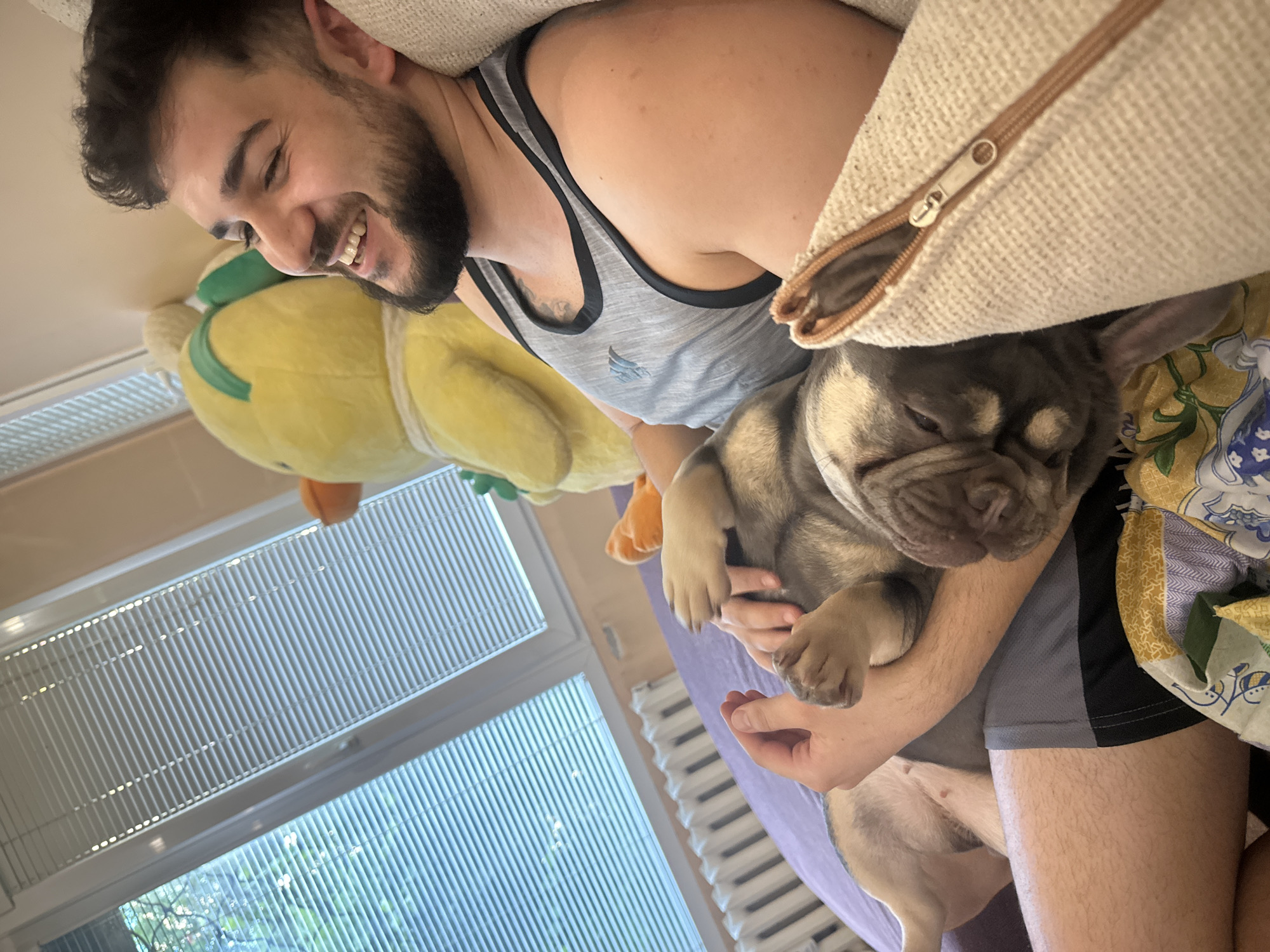 This is a medium shot of a man and a French bulldog dog snuggled together on a bed. The man, with dark hair and a beard, is lying on his side, smiling broadly. He is wearing a gray tank top with black trim and what appears to be a tattoo on his upper arm. His left arm is wrapped around the dog, which is also lying on its side, facing away from the camera and resting its head on the man's arm. The dog is a fawn color with a darker face.
The scene appears to be indoors, likely a bedroom, with a large window with blinds visible in the background. Sunlight streams in through the blinds, suggesting it is daytime. To the left of the man, a large yellow stuffed animal, possibly a duck, is partially visible. The man and dog are nestled under a beige pillow with a visible zipper. The man's legs are visible, covered in dark athletic shorts and a purple sheet or blanket.
The overall mood is relaxed and affectionate, with both the man and the dog appearing comfortable and content. The lighting suggests it is daytime, and the presence of a bed and window indicates an indoor domestic setting. There is no visible text in the image.