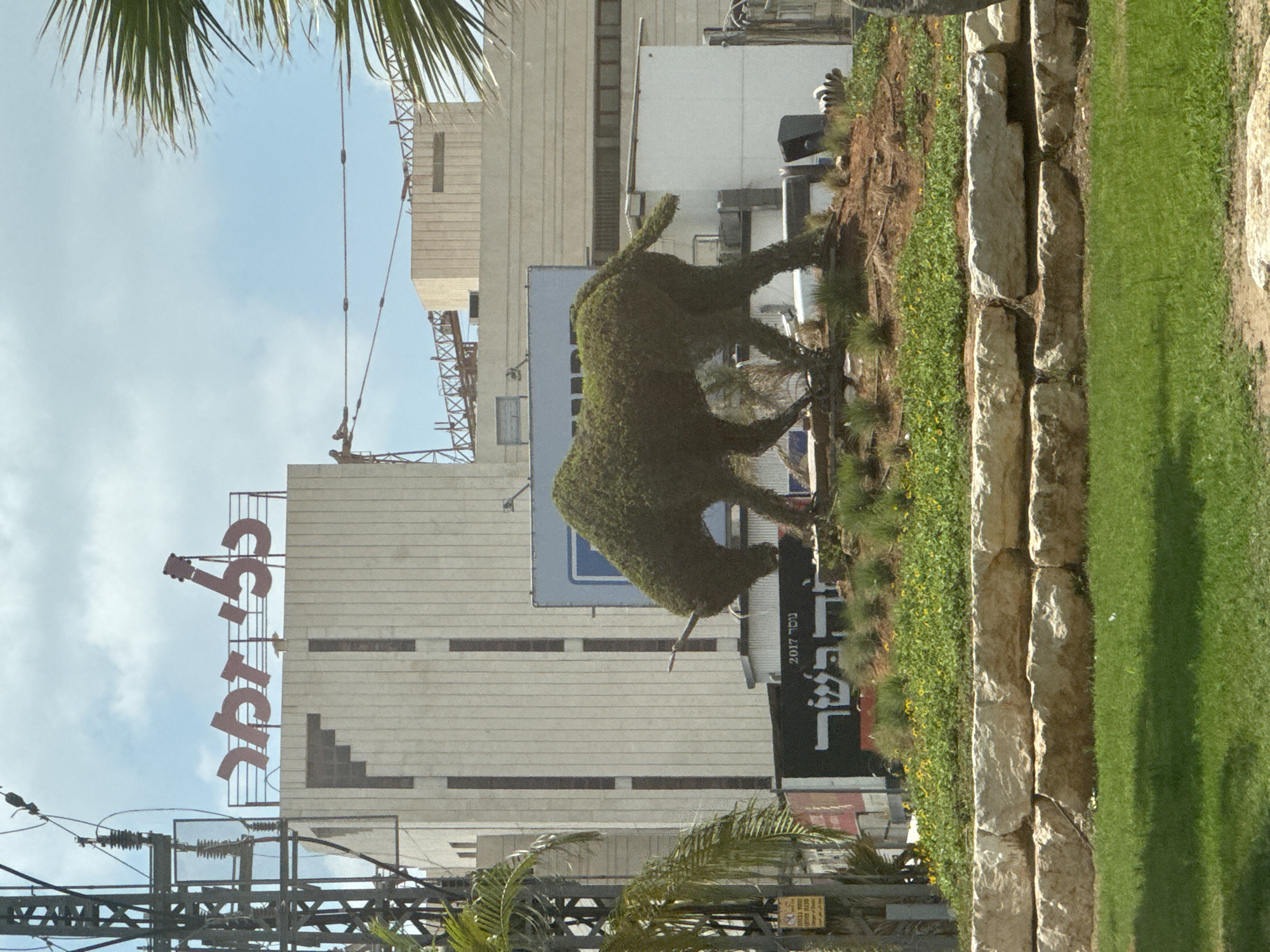 The image captures a view of a modern cityscape in Petah Tikva, Israel, dominated by a large, light-colored building with vertical dark stripes. Atop this building, a red sign with Hebrew lettering and a stylized instrument, possibly a guitar, is prominently displayed. In front of the building, a topiary sculpture shaped like a unicorn stands on a mound covered with green foliage and yellow flowers. A black sign with Hebrew text, including "2017", is visible near the base of the sculpture. The foreground features a neatly trimmed green lawn separated from the background by a low wall constructed of large, rough-hewn stones. Additional structures, including construction cranes and palm trees, are visible in the background, suggesting ongoing development or a bustling urban environment. Power lines and utility poles are also present, indicating the infrastructure of a developed area. The sky is partly cloudy, with a bright, daytime atmosphere.