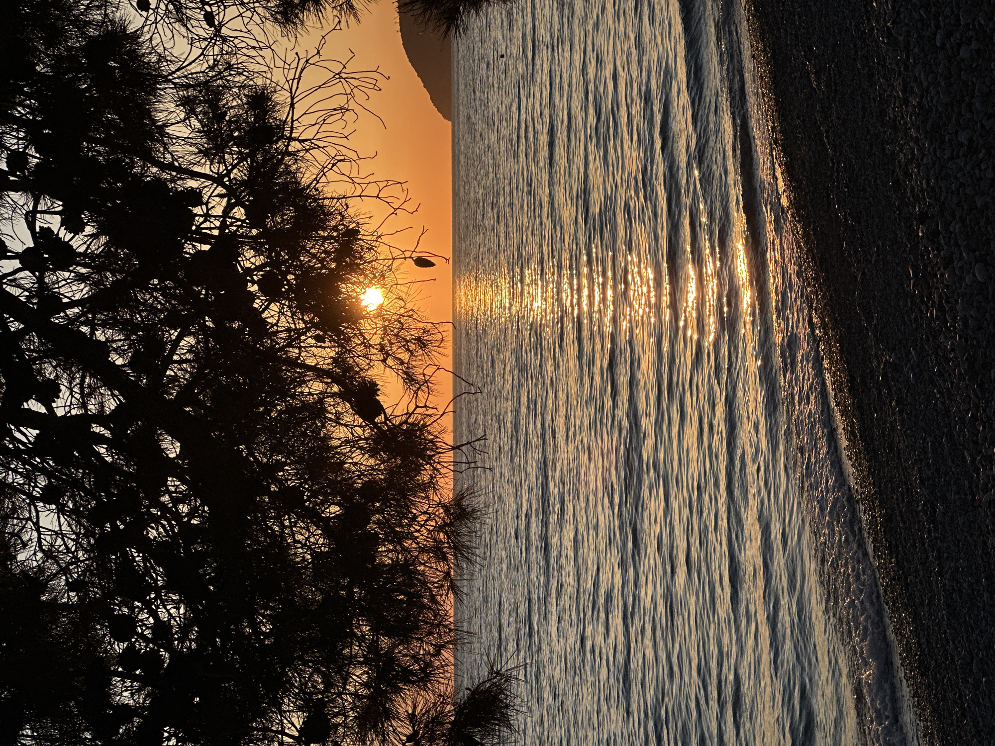 This image captures a tranquil sunset scene over the sea at Šušanj, Montenegro. The time of day is clearly dusk, with the sun low on the horizon, casting warm, golden-orange light across the sky.
In the foreground, a large tree, likely a pine, stands in stark silhouette against the radiant sky, occupying most of the left side of the frame. Its intricate branches, laden with needles and visible pine cones, are silhouetted in dark relief. The sun itself is partially obscured by the tree's foliage, appearing as a bright, golden orb peeking through the branches.
The middle ground is dominated by the sea, which stretches across the frame. Gentle ripples cover its surface, creating a mesmerizing path of shimmering golden light directly under the sun, reflecting its brilliance. The water to the right and left of this sun path shows deeper, calmer tones. To the far right, a narrow strip of rocky or pebbly beach meets the water's edge, its dark texture contrasting with the illuminated sea.
In the distant background, a faint outline of a mountainous landmass or coastline is visible along the horizon, partially obscured by the sunset's glow. The sky exhibits a gradient of warm hues, from a soft orange near the horizon to a slightly lighter tone above. The scene evokes a sense of peace and natural beauty, under clear and calm weather conditions. There is no visible text in the image.