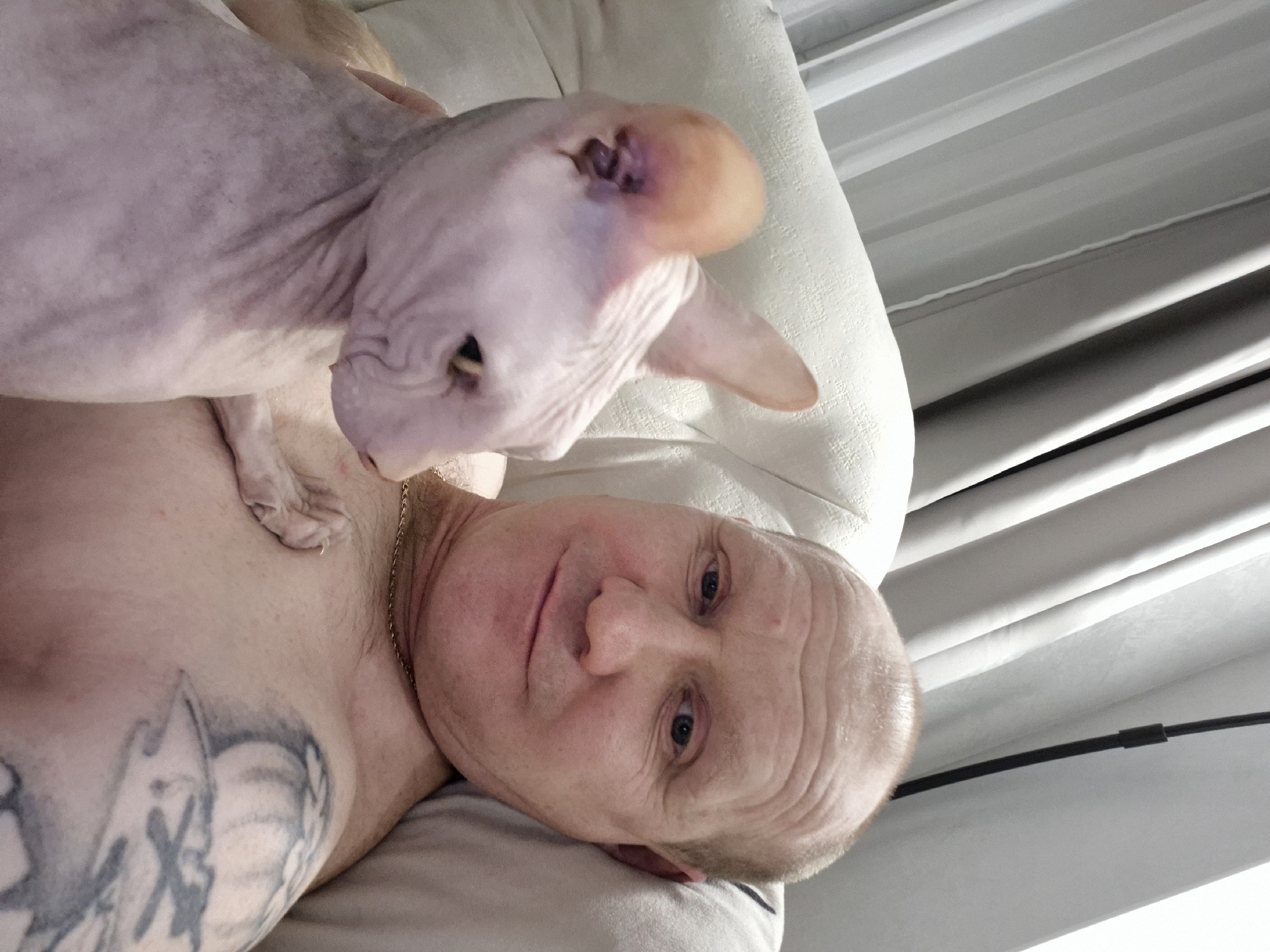 A close-up, indoor shot features a shirtless, light-skinned man lying on a light-colored cushion or pillow. A hairless, pale cat is positioned on his chest, its head near the man's neck. The man has blue eyes, a slightly furrowed brow, and a thin gold chain around his neck. A large tattoo is visible on his left chest. The background consists of vertical blinds. There is no information to confirm the location as Chaikovsky, Russia.
