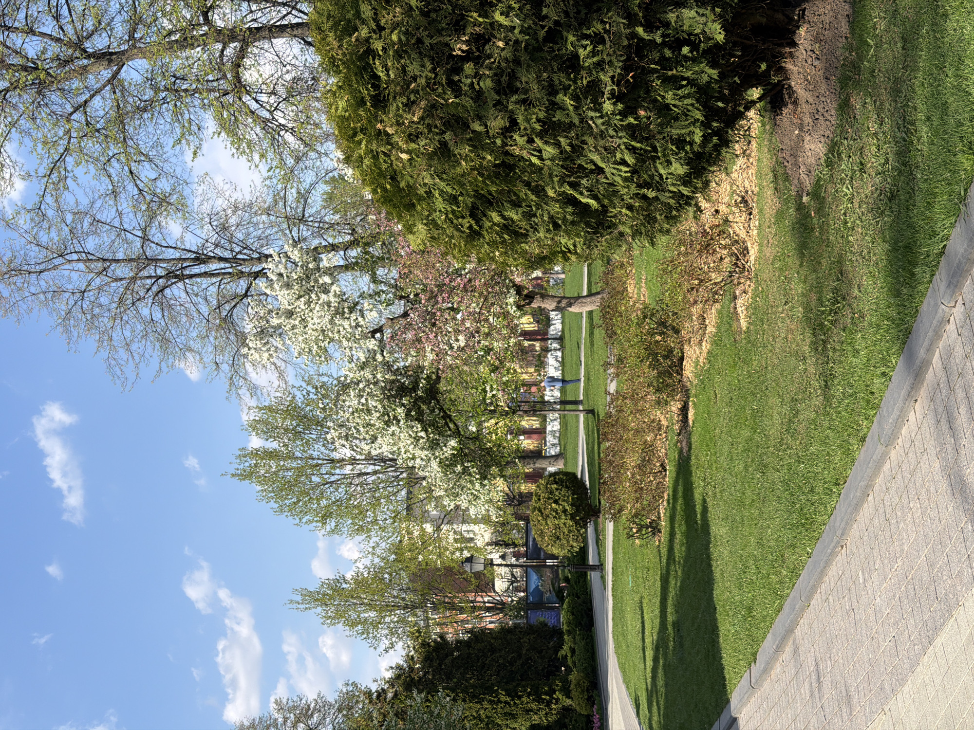 The image depicts a park scene on a sunny day with a blue sky dotted with cumulus clouds. The foreground features a paved pathway made of light gray bricks. To the left of the path, there's a well-maintained green lawn, bordered by various trees and bushes.
Several trees are in bloom, exhibiting pink and white flowers. The tree branches stretch towards the sky, some still bare, while others are covered in fresh green leaves.
In the background, there are buildings with red brick facades and other structures. The scene suggests a park or garden area in a city. The presence of blossoming trees indicates it is likely spring.
Based on the visible architecture and landscape, it's plausible this scene could be located in Moscow, Russia. However, without more specific architectural markers, it is not possible to be definitive about the location in Moscow, Russia.