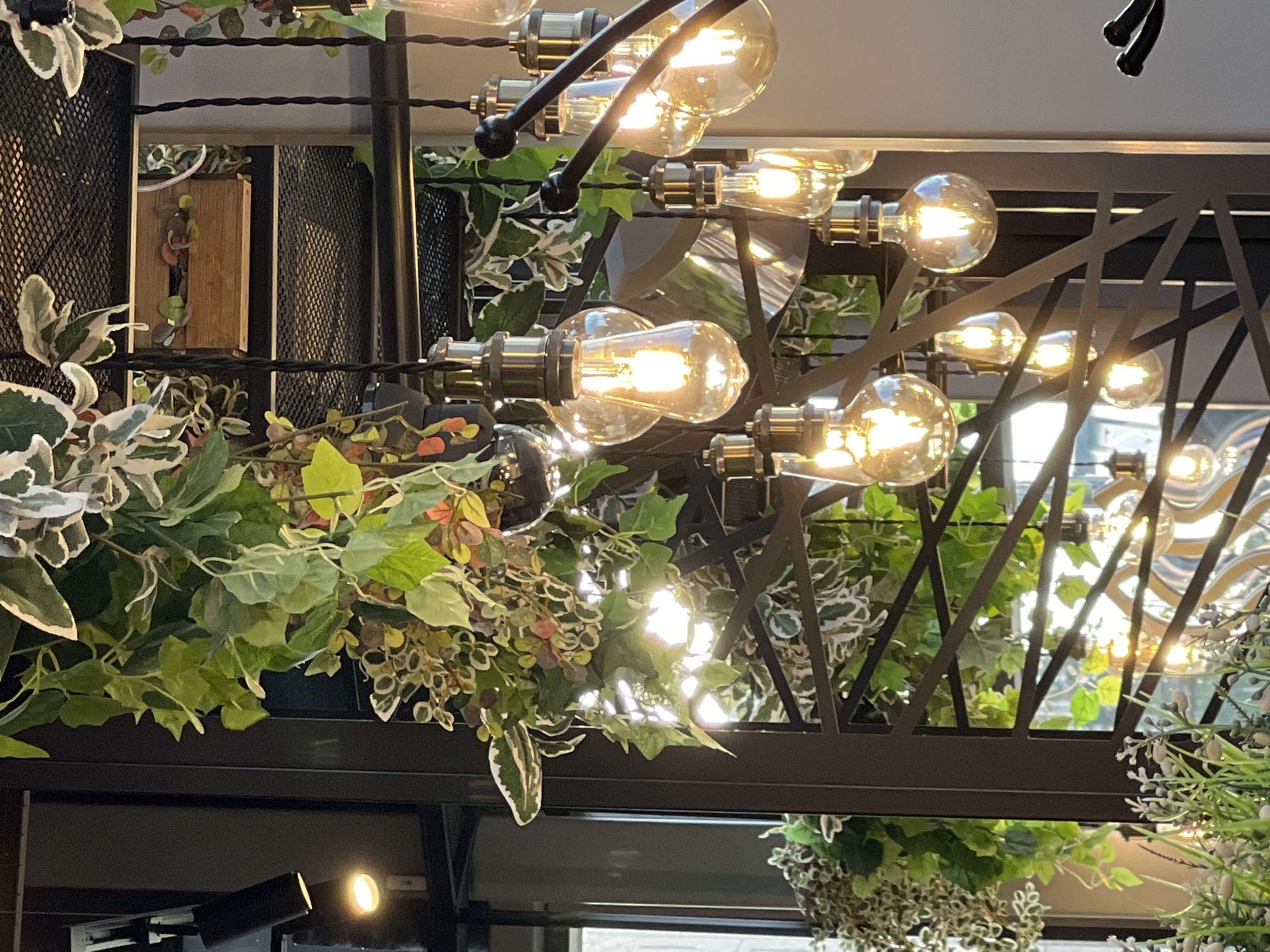 This is a close-up, indoor, vertical shot of a chandelier with Edison-style bulbs and hanging artificial plants. The chandelier is made of dark metal with multiple arms, each holding a bulb. The bulbs are illuminated, casting a warm glow. The artificial plants are a mix of green and variegated leaves, with some smaller red and pink artificial accents, creating a lush, cascading effect. The background is out of focus, showing hints of a window with sunlight filtering through, and some dark metal shelving or structural elements. There are no people or discernible actions in the image. The scene appears to be in a dimly lit indoor space, possibly a cafe or restaurant, with a focus on decorative lighting and greenery. The mention of Sinyavino, Russia, is not supported by any visual evidence within the image itself; there are no identifiable landmarks, signs, or any other context that would place the location in Sinyavino.