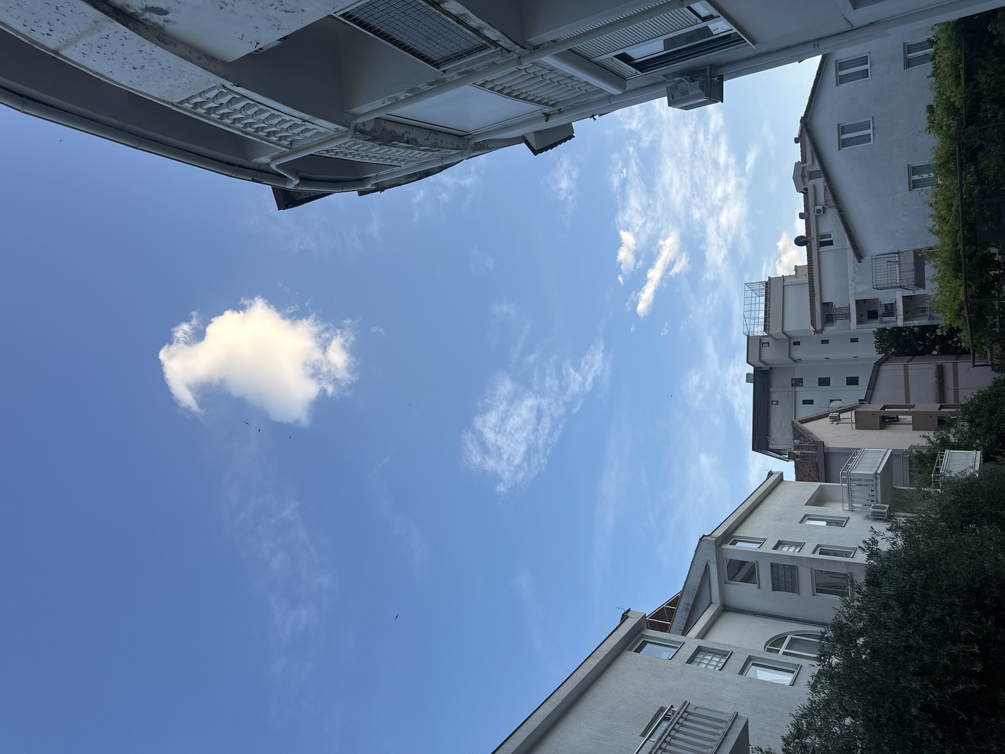 The image is a low-angle shot taken upwards, showing a view of buildings and the sky. The sky is blue with scattered white clouds. The buildings on either side of the frame are white or light-colored with various windows, balconies, and architectural details. Green foliage is visible on the right side of the image, partially obscuring the buildings. Birds are visible in the sky. The location is likely in Budva, Montenegro, based on the architecture and environment.