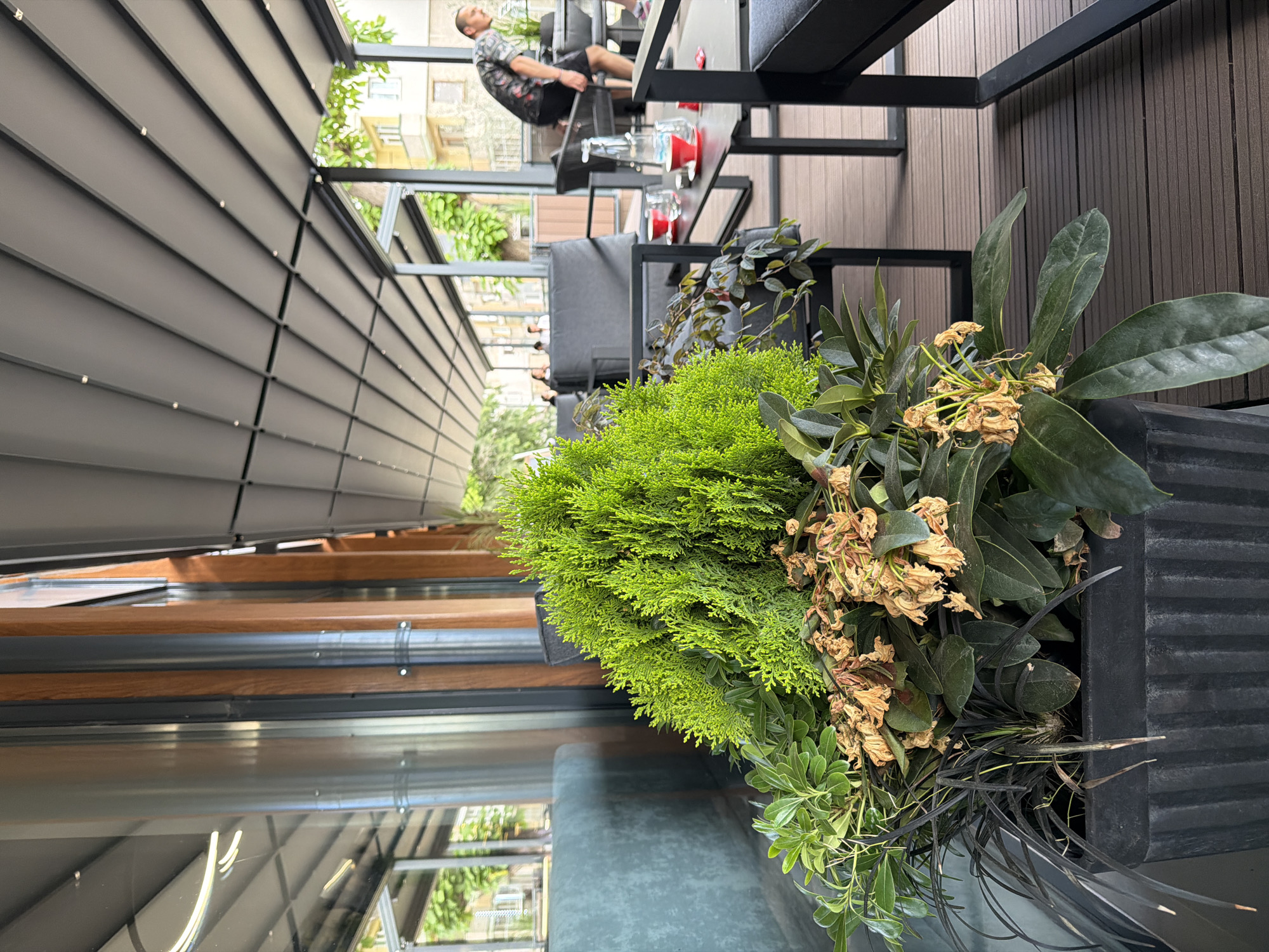 The image captures an outdoor seating area, likely in Plovdiv, Bulgaria. A man is seated at a table in the background. In the foreground, a planter contains a mix of greenery, including a vibrant green shrub and other leafy plants, some with withered blooms. The seating area is covered by a dark, corrugated metal structure and dark flooring. The scene has elements of a modern outdoor cafe or restaurant setting.