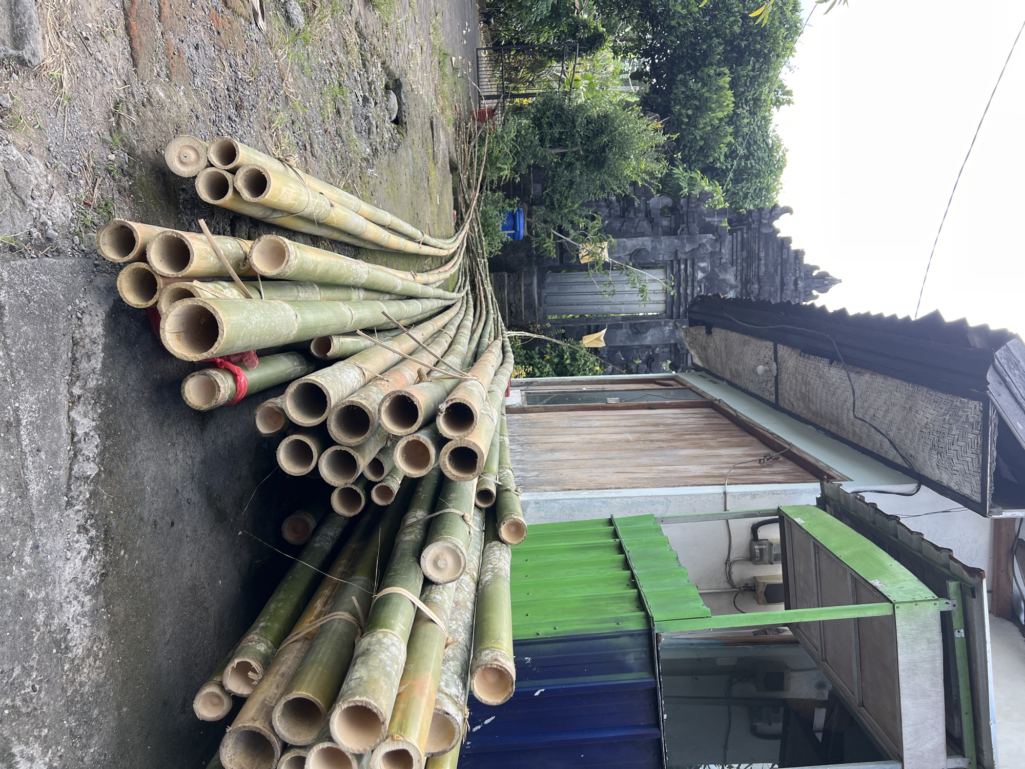 The scene depicts a stack of bamboo poles resting on a weathered concrete surface, likely a yard or roadside. The bamboo is bundled together with ties. The poles appear to be green and yellowish in color, typical of freshly cut bamboo.
In the background, a traditional Balinese gate made of dark stone is partially visible, suggesting a cultural or residential setting. The gate is framed by lush green vegetation and trees. Adjacent to the bamboo and gate is a structure with a combination of weathered wooden paneling, green corrugated metal, and blue panels. Electrical fixtures are visible on the white wall behind the green and blue panels.
The location is most likely in the Ubud District, Indonesia, based on the architecture of the gate. The lighting suggests it's daytime, possibly late morning or early afternoon. There are no people visible in the shot.